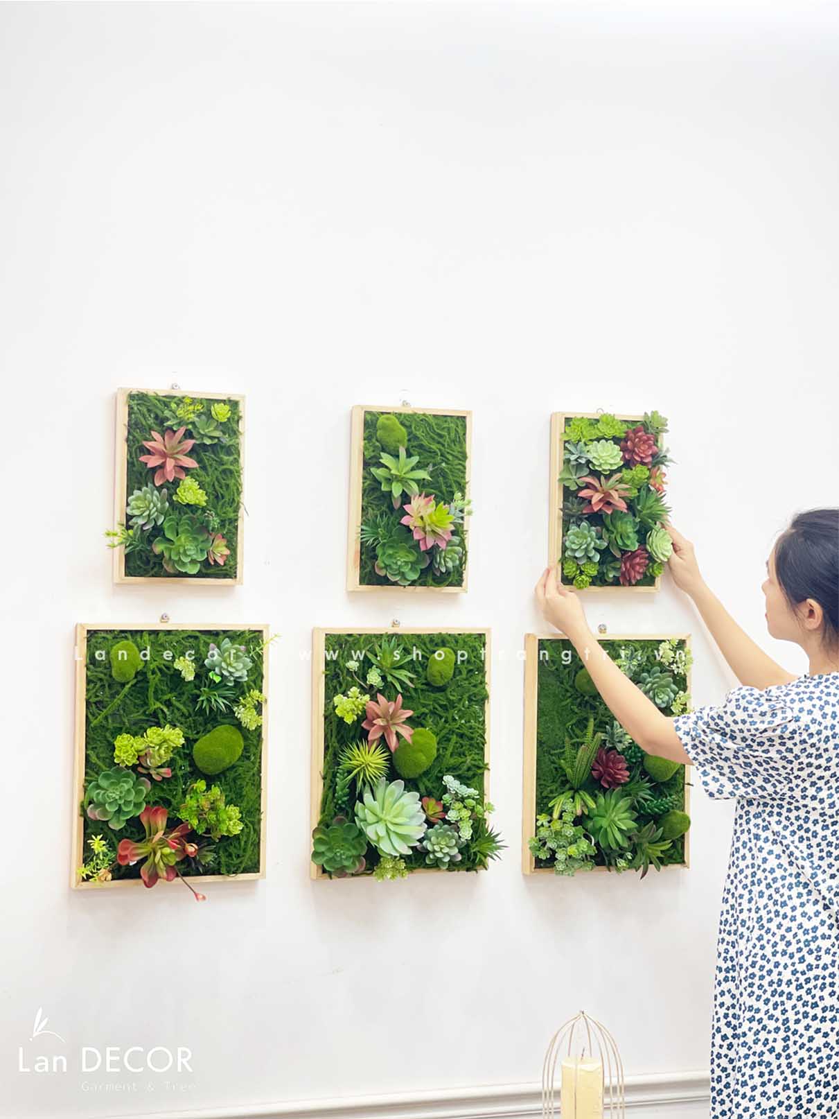 Khung tranh rêu sen đá trang trí hiện đại, độc đáo - KTR07(20x40) Tổng ...