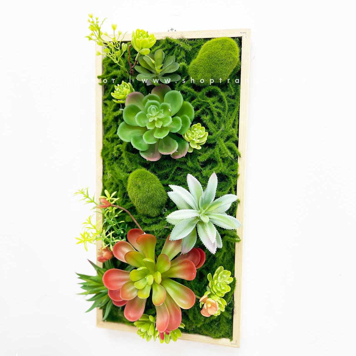 Khung tranh rêu sen đá trang trí hiện đại, độc đáo - KTR07(20x40) Cây ...