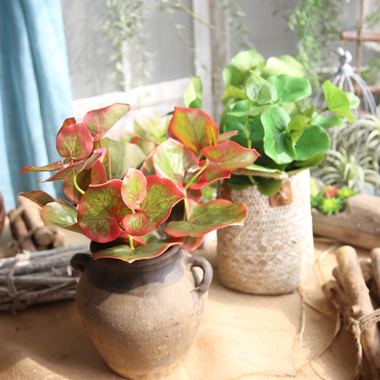 canh-la-gia-decor