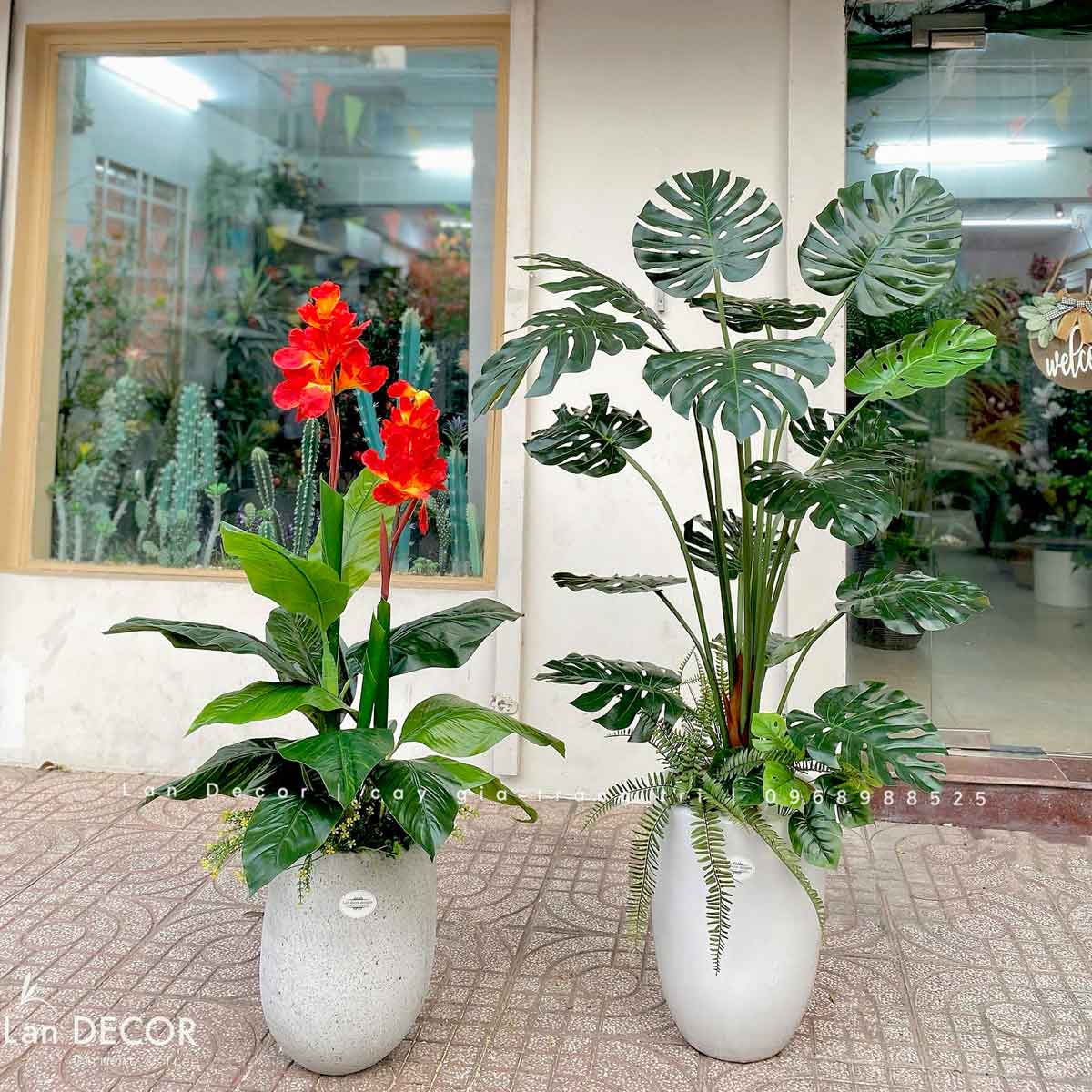 cay-gia-decor 
