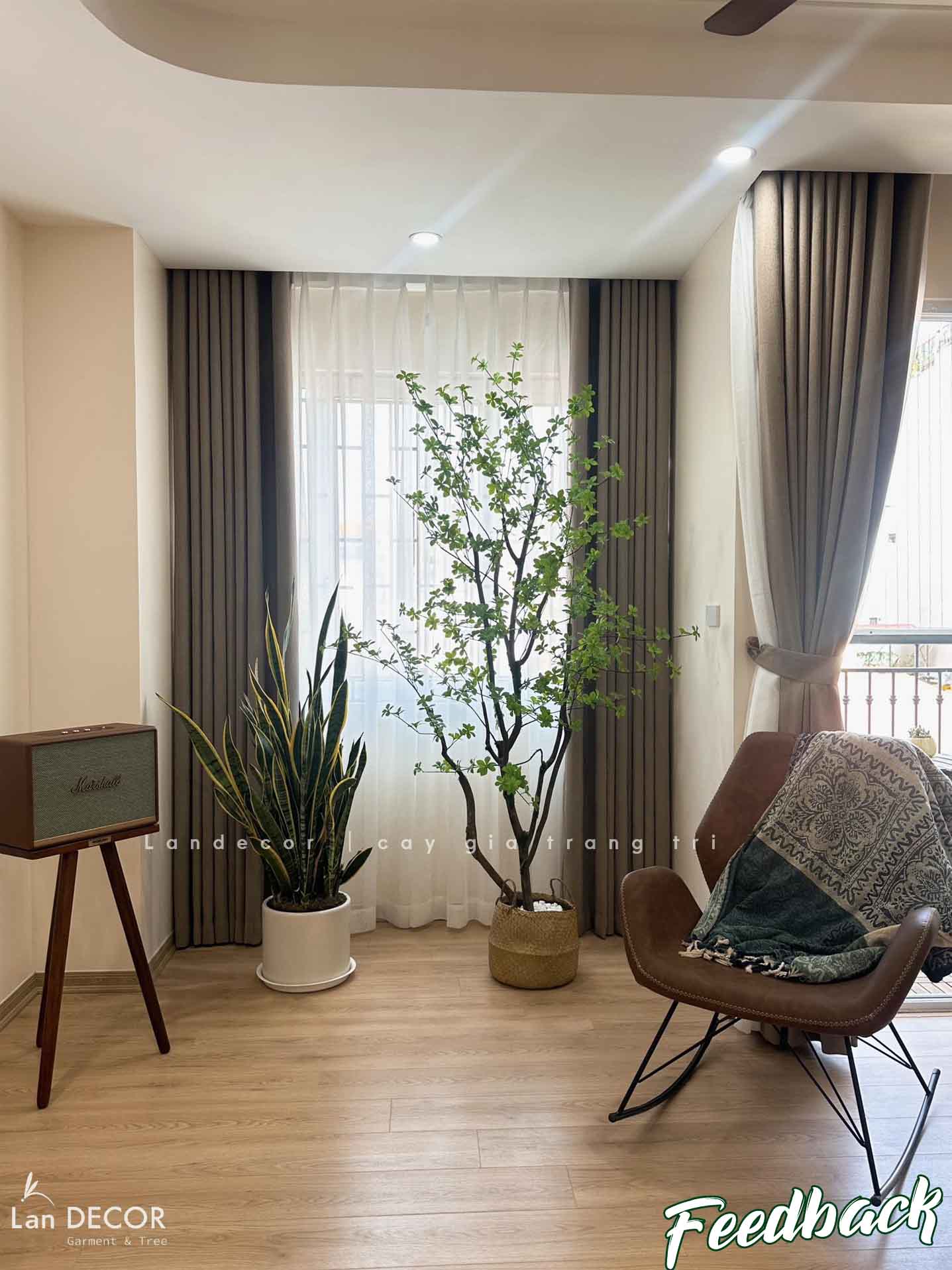 cay-gia-decor