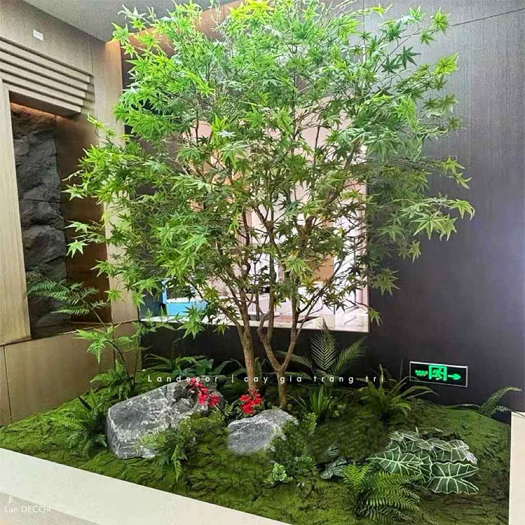 cay-gia-decor 