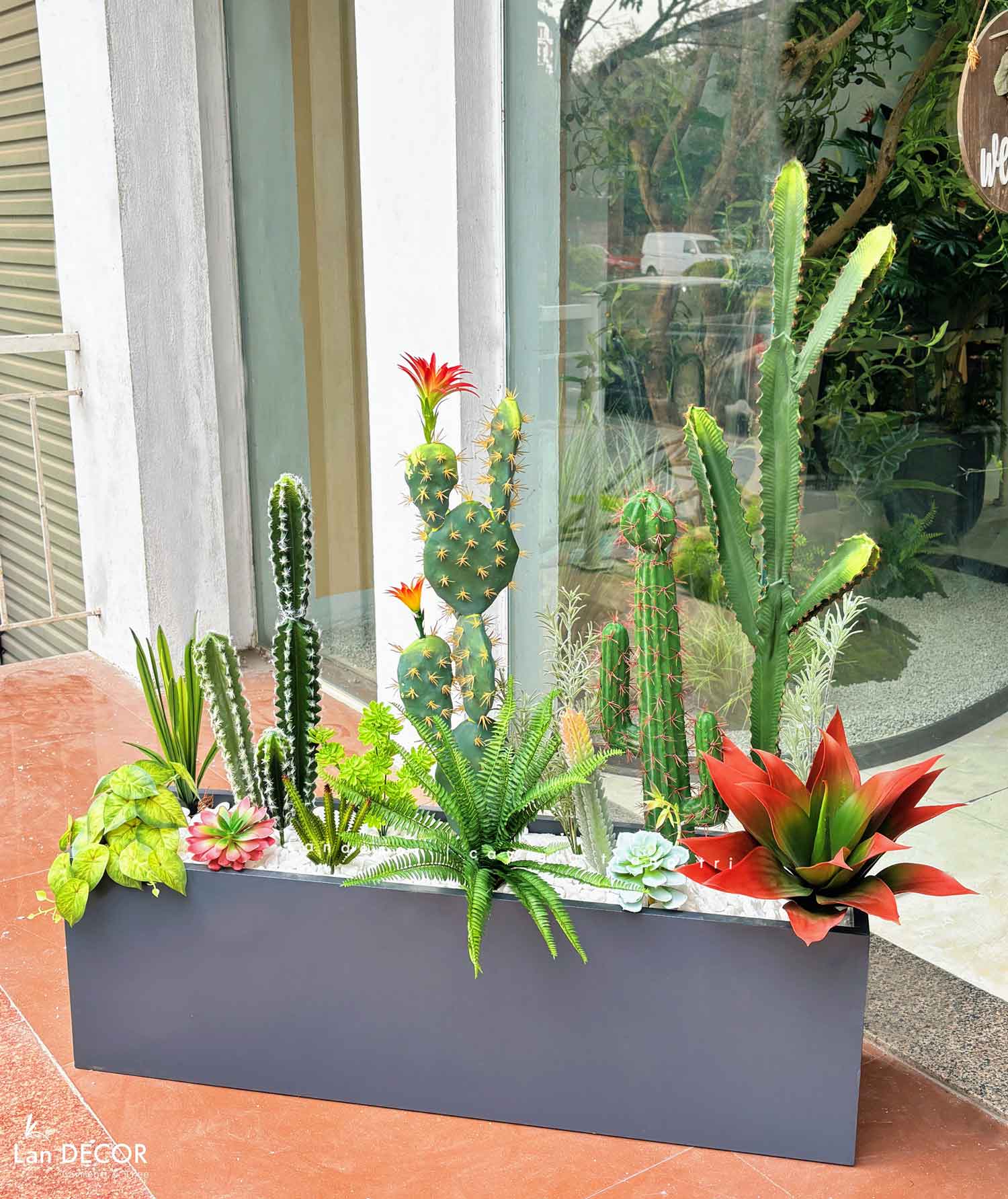 bon-xuong-rong-tieu-canh