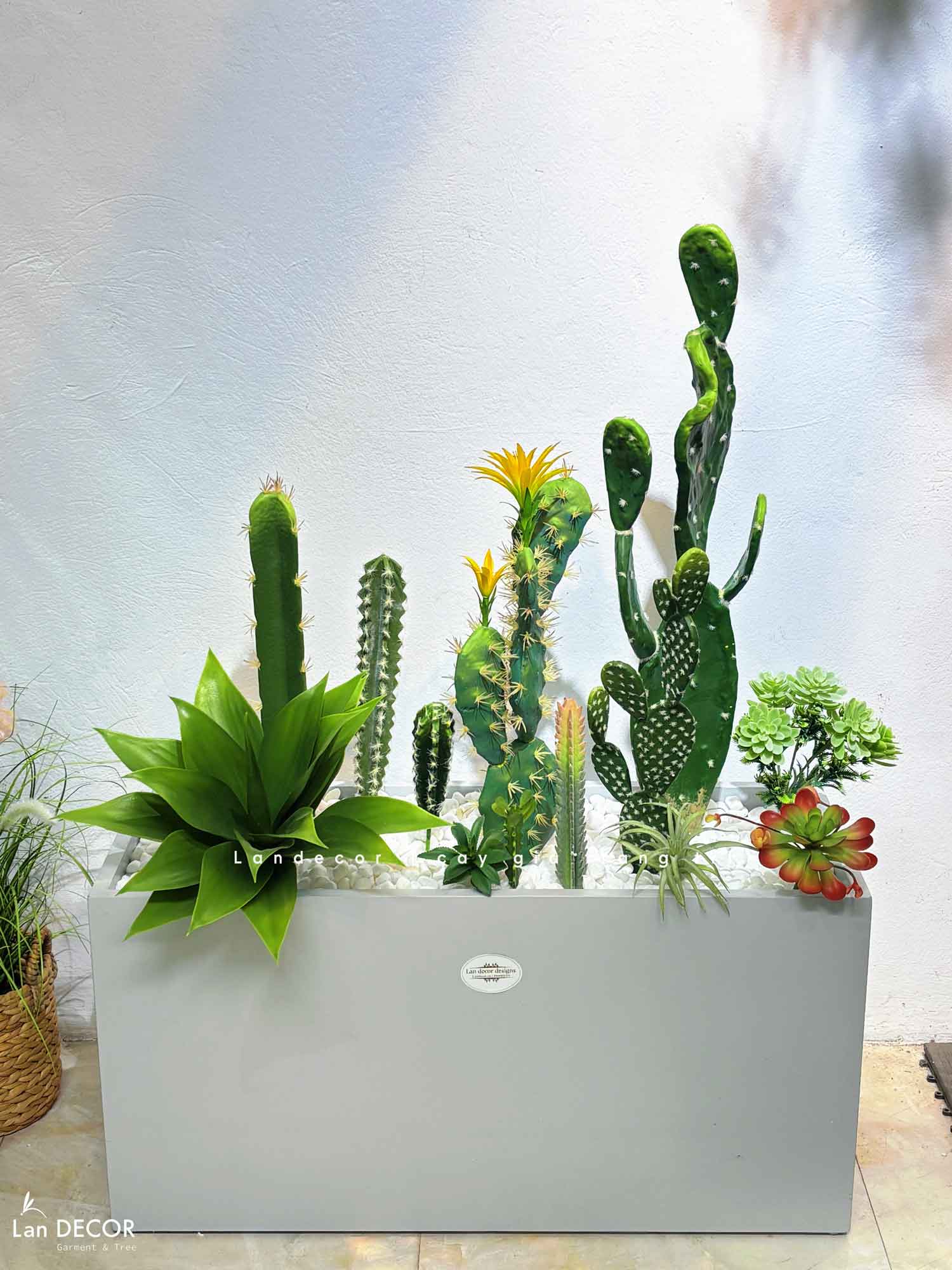 bon-xuong-rong-tieu-canh