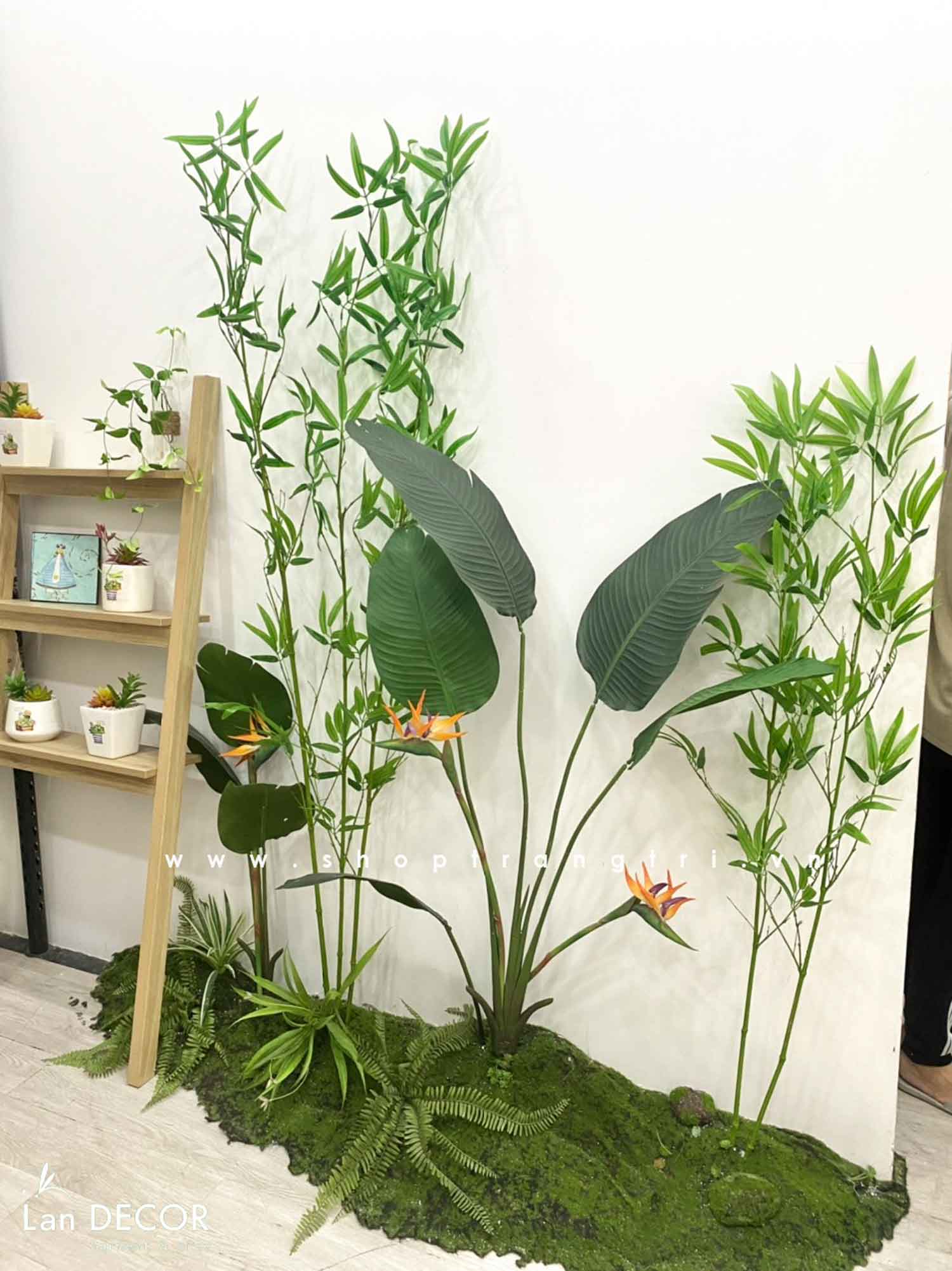 cay-gia-decor 