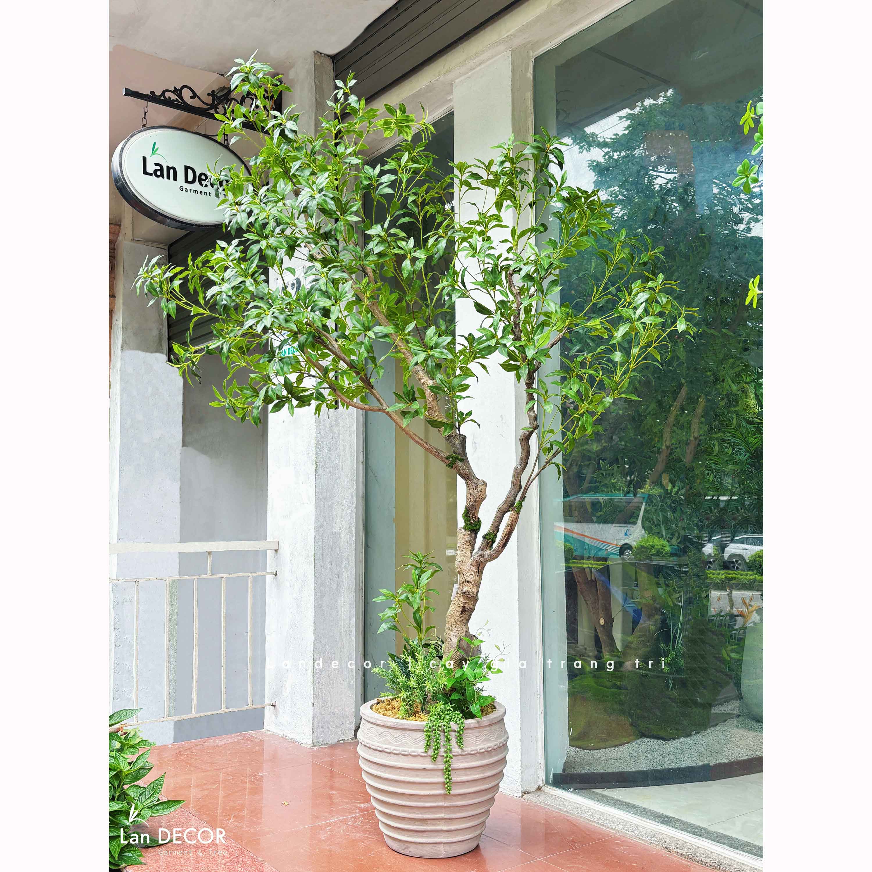 Cây Giả Thiết Kế- Cây Linh Sơn Tiểu Cảnh Thiết Kế Không Gian Đẹp (220cm)- CC1355