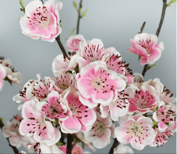 CÀNH ĐÀO CHỒI NON - HC926-1