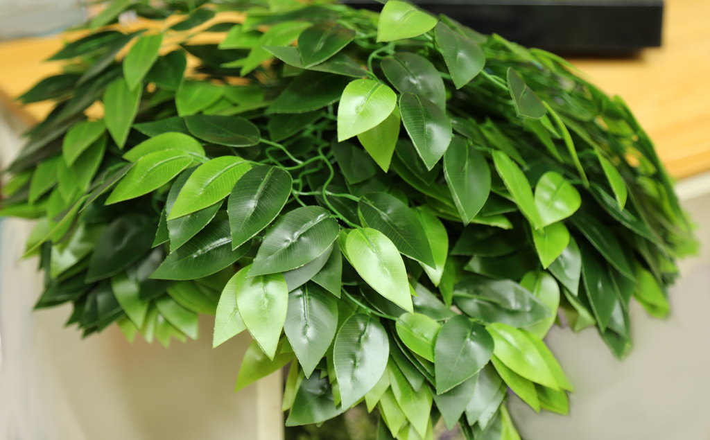 Cành Lá Xanh Giả Decor, Cành Lá Si Xanh 3 nhánh trang trí nhà cửa (55cm) - HC708