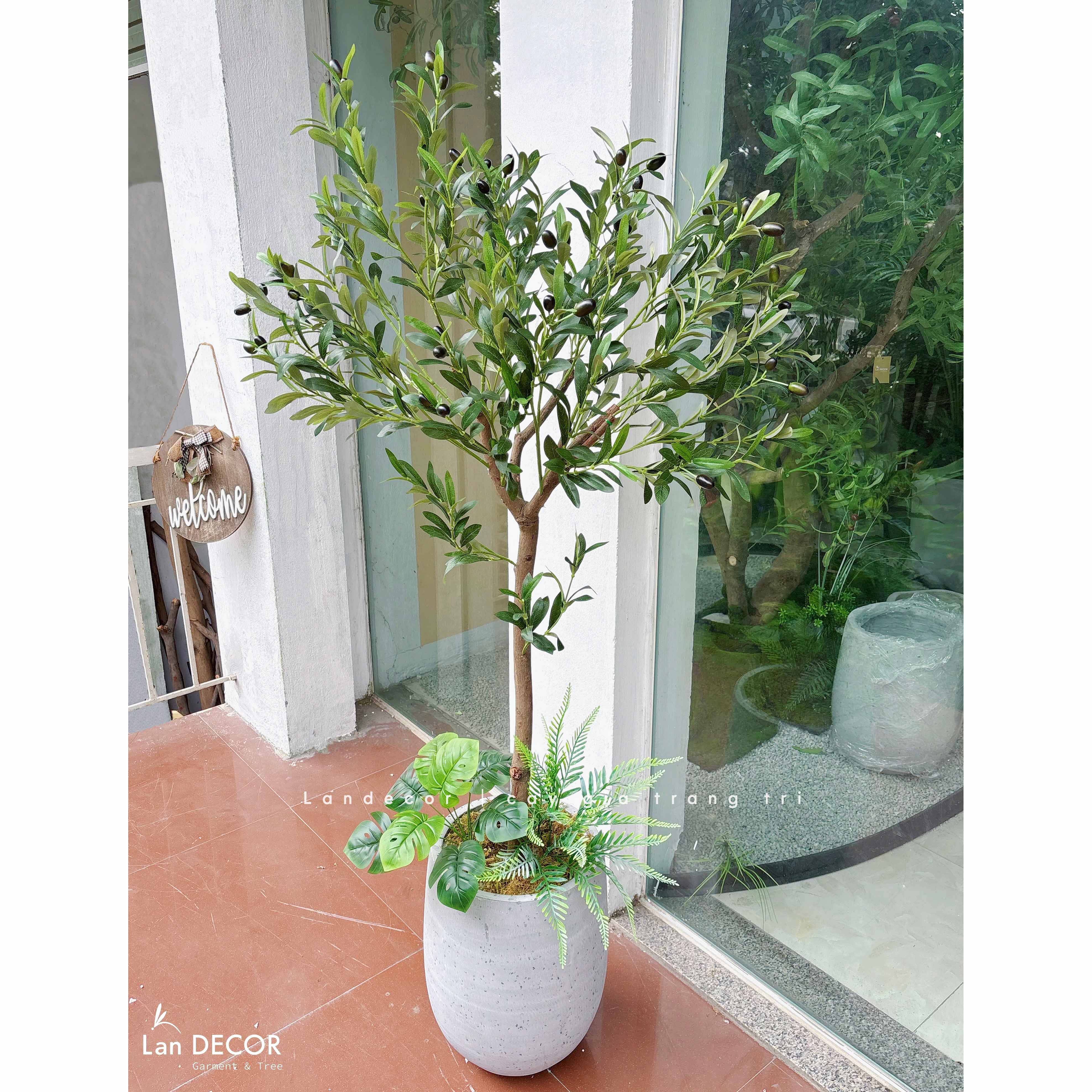 Cây Oliu Giả Decor- Cây Olive Giả Thiết Kế Tiểu Cảnh Xanh Quanh Năm (140cm)- CC1381