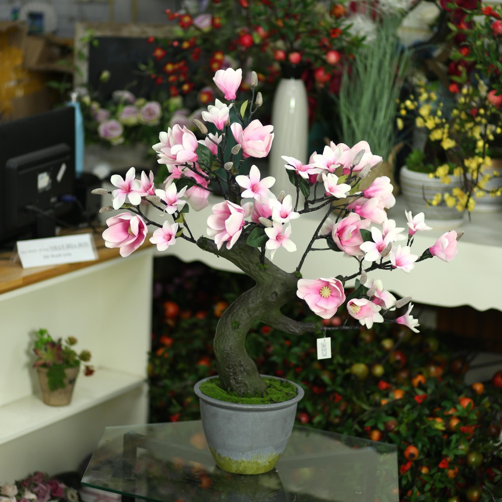 Cây mộc lan bonsai trang trí phong cách hiện đại (85cm) - LC3020