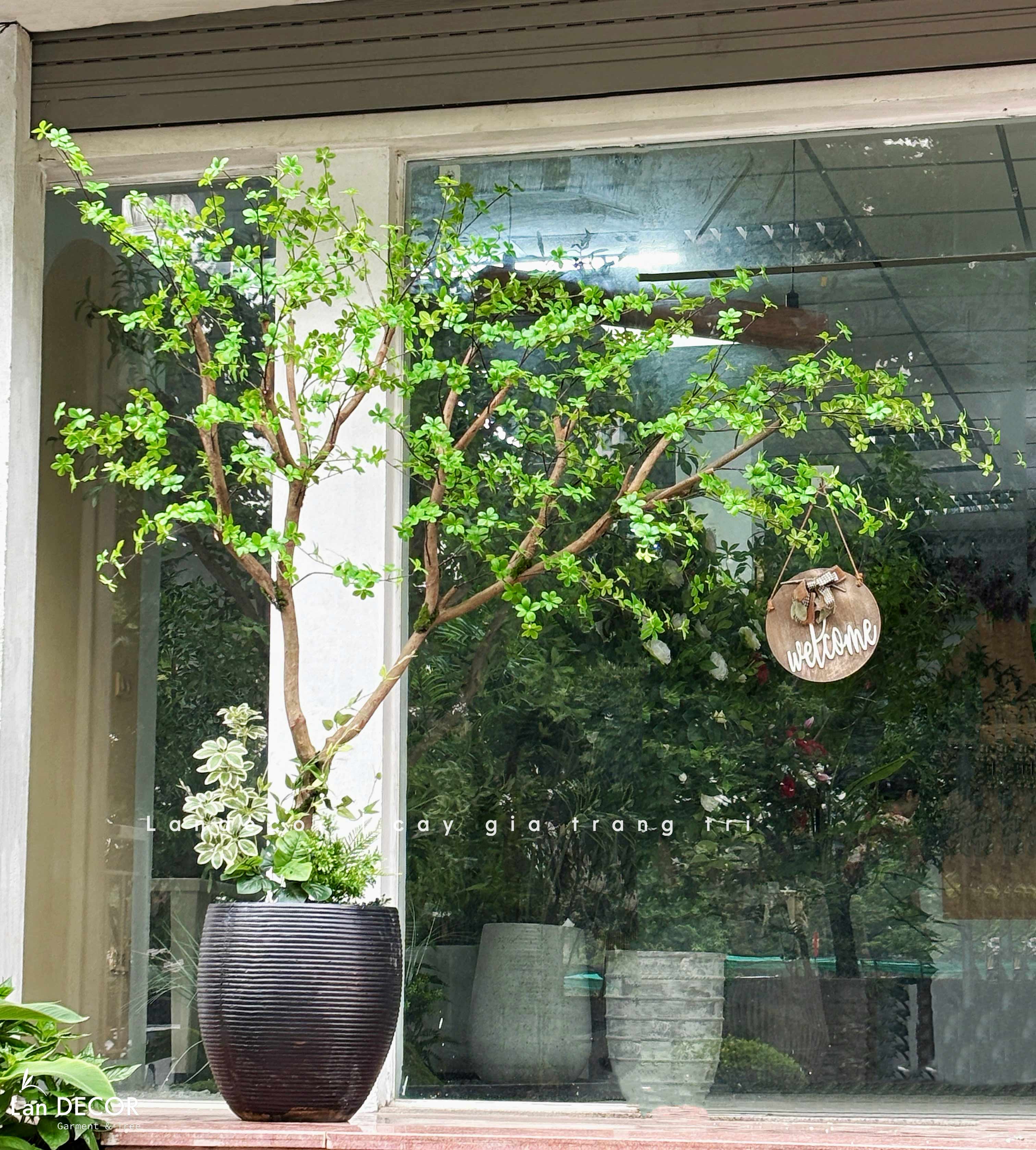 Cây Giả- Cây Thạch Nam Tiểu Cảnh Thiết Kế Không Gian (220cm)- CC1356