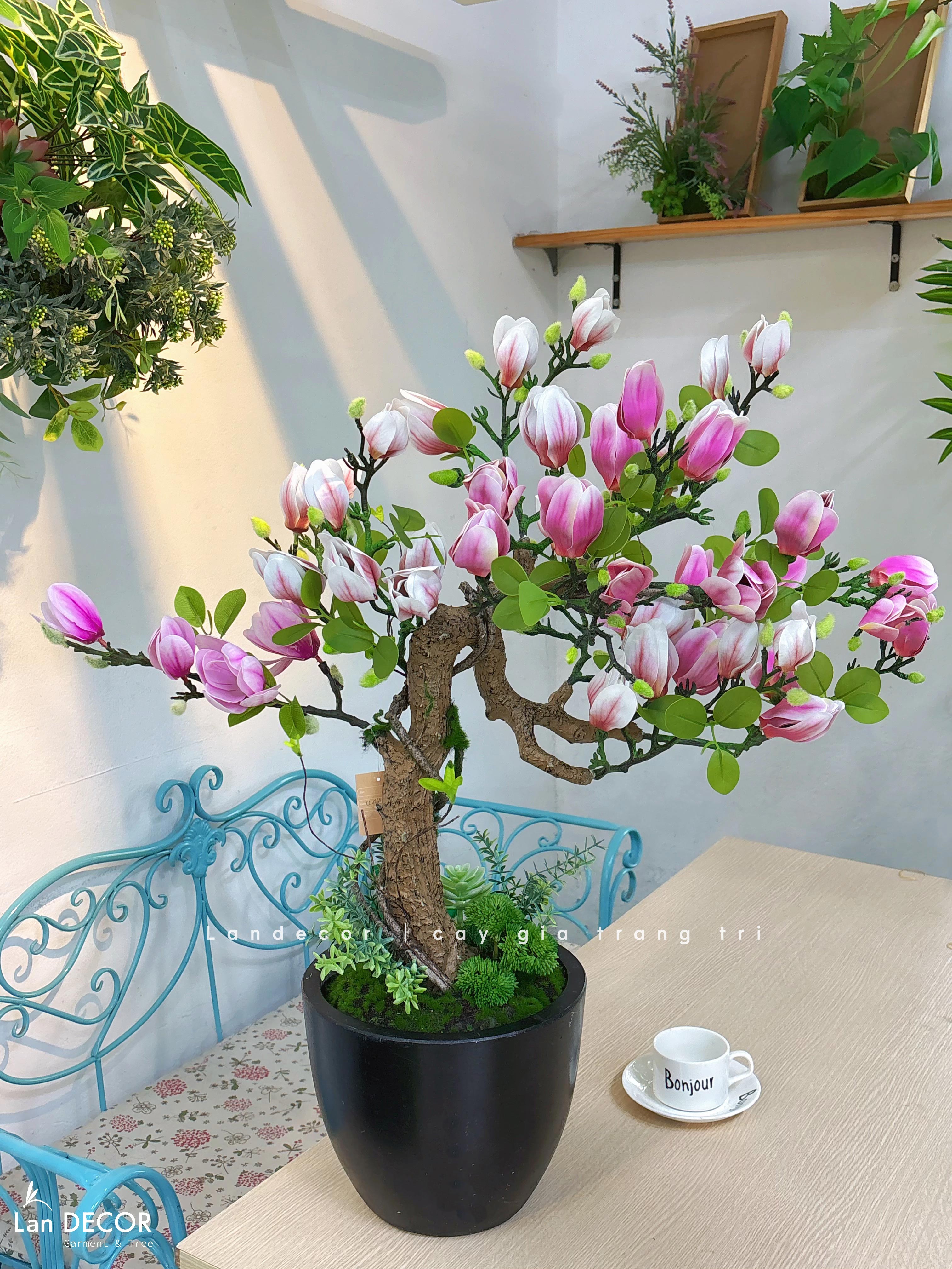 Cây Hoa Giả Decor- Chậu Hoa Mộc Lan BonSai Trang Trí Tiểu Cảnh Phòng Khách (80cm)- CC1334