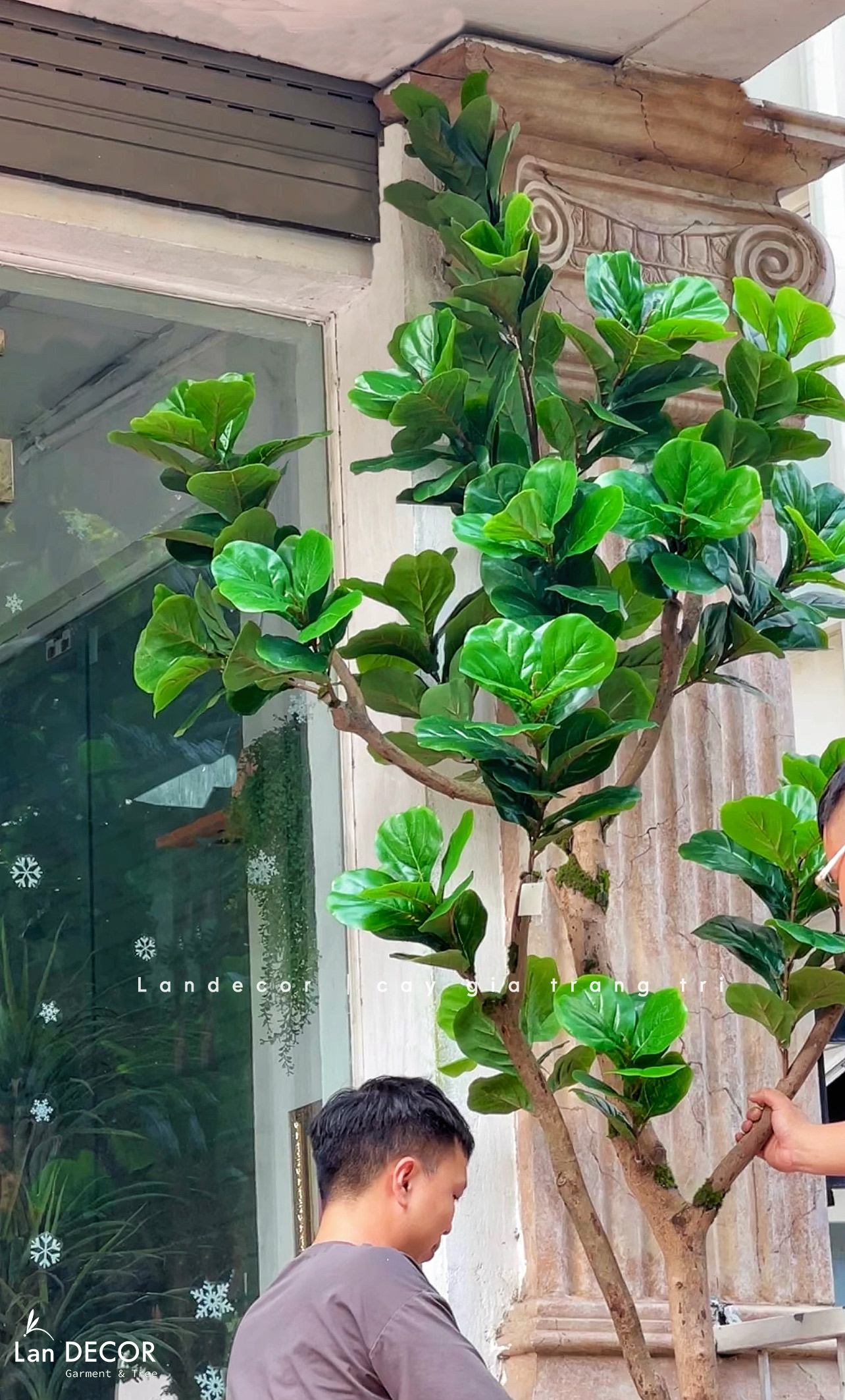 Cây Bàng Giả Decor- Cây Bàng Giả Trang Trí Tiểu Cảnh Cửa Hiệu (240cm)- CC1294