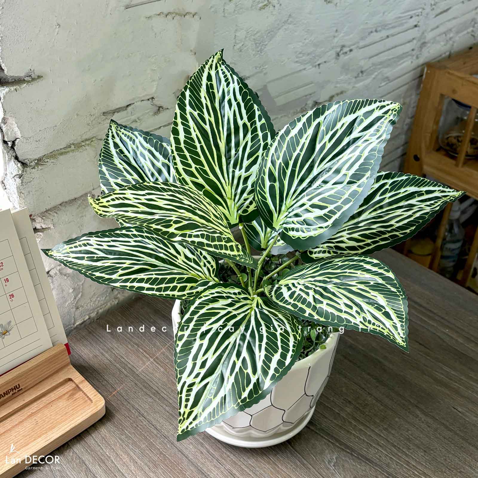 Cây Giả Decor- Cây Lá Sọc Dưa Giả Để Bàn Trang Trí Ấn Tượng (40cm)- CC1462