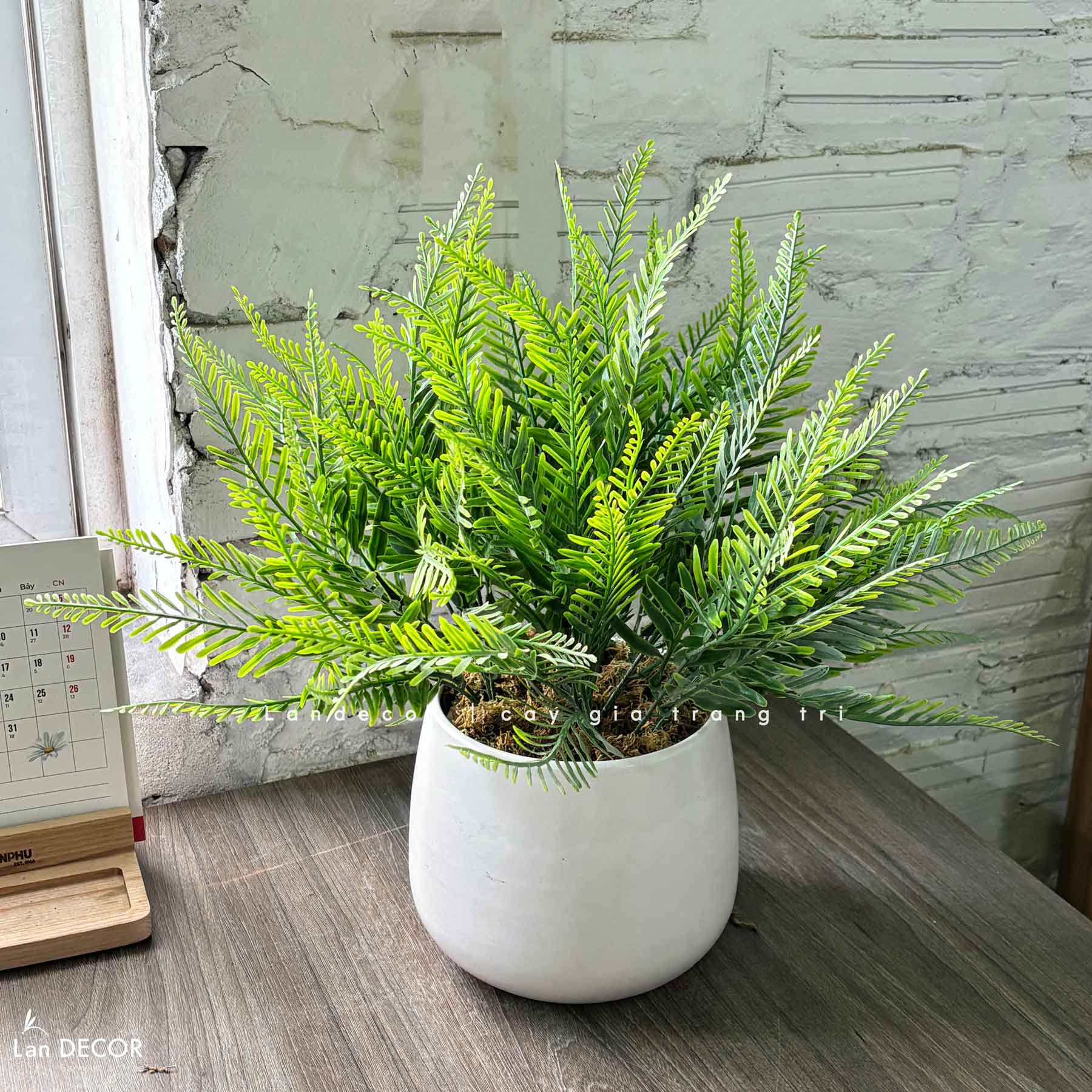 Cây Giả Trang Trí- Chậu Cây Dương Xỉ Giả Trang Trí Để Bàn Tự Nhiên (45cm)- CC1463