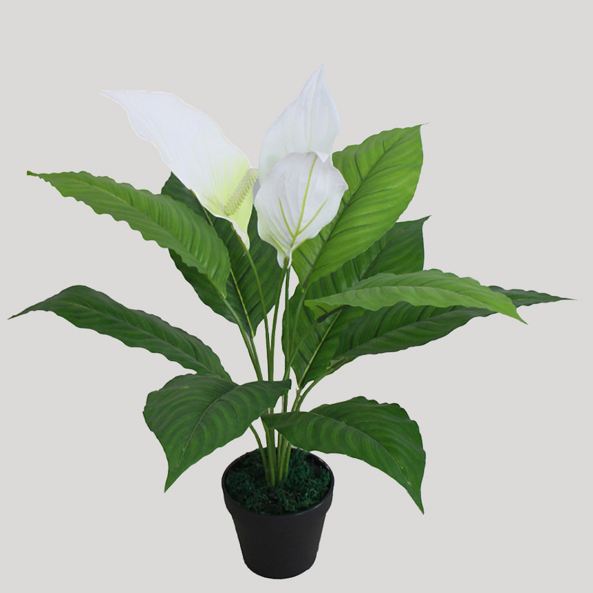 Cây Lan Ý để bàn trang trí nhà sang trọng (55cm) - LC2925-1