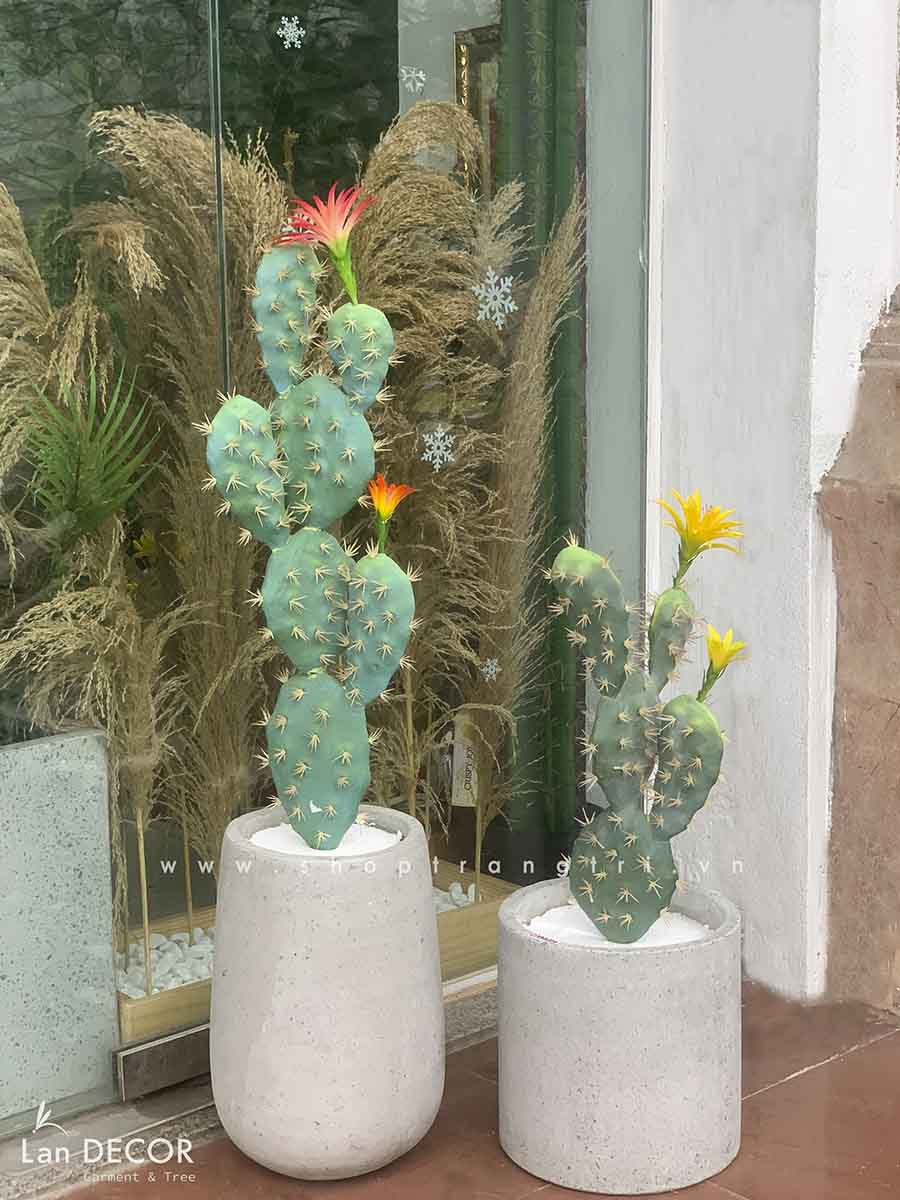 CHẬU CÂY XƯƠNG RỒNG BẸ HOA VÀNG PHONG CÁCH HIỆN ĐẠI LAN DECOR (50CM) - CC201/CC202