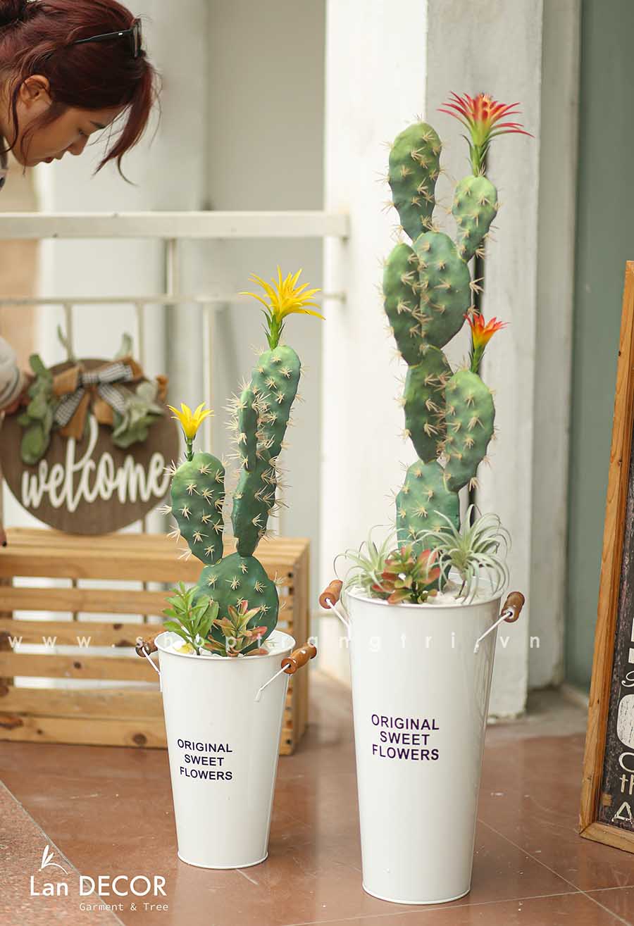 CHẬU CÂY XƯƠNG RỒNG BẸ HOA VÀNG PHONG CÁCH HIỆN ĐẠI LAN DECOR (75CM) - CC588