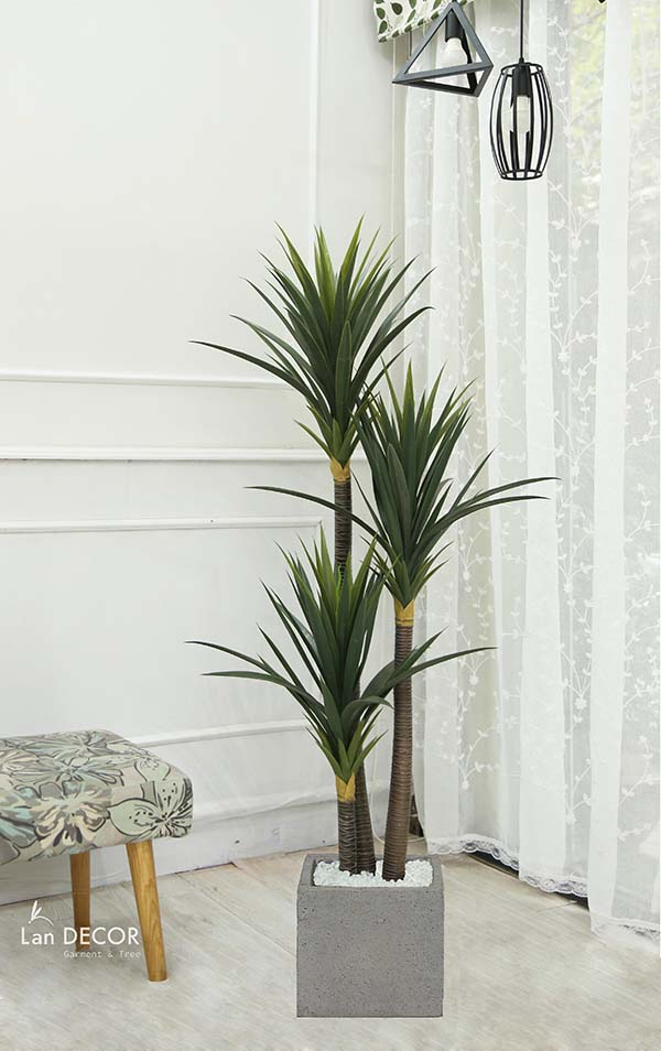 Cây phát tài núi Lan decor - cây giả trang trí 1,5m - LC3005