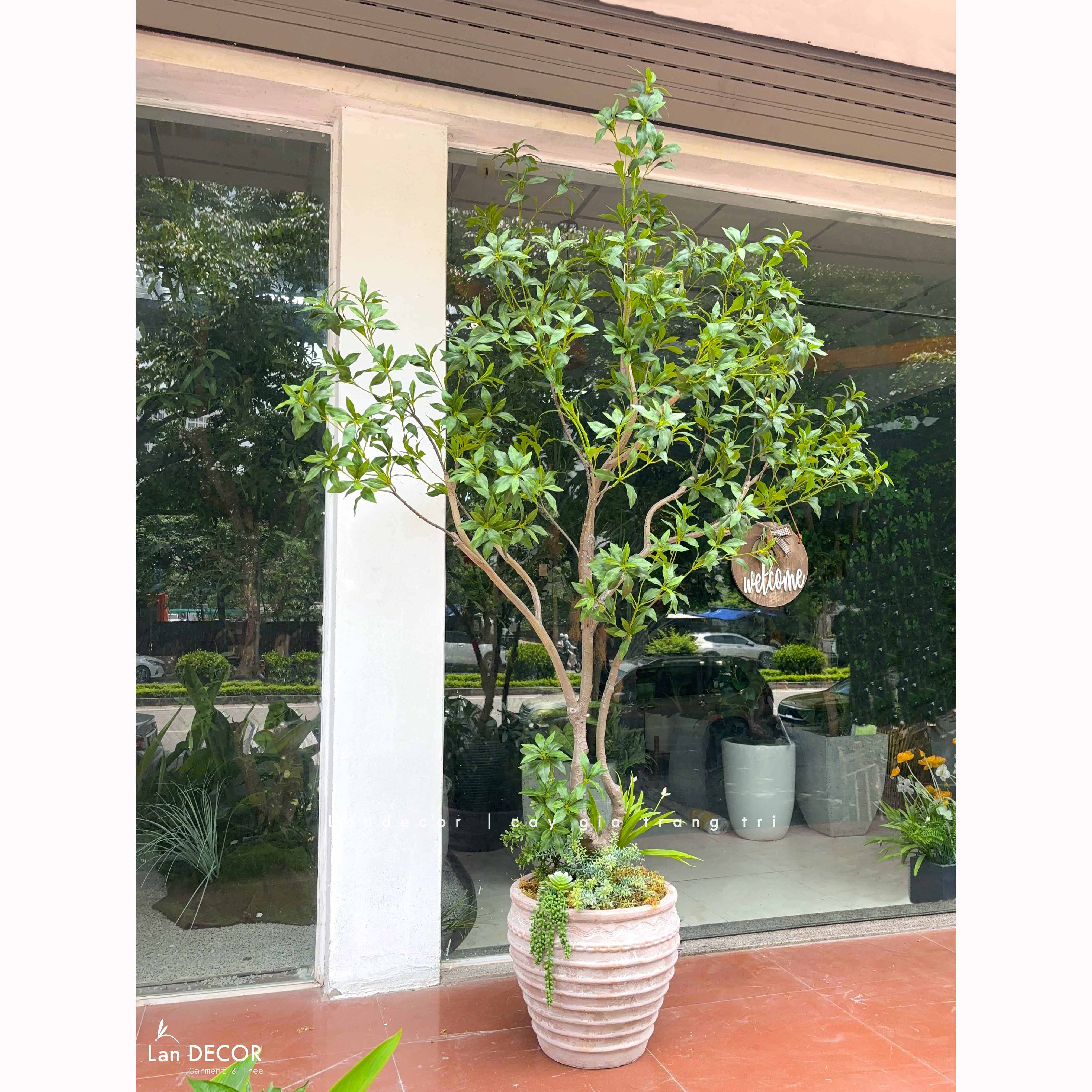 Cây Size Lớn Thiết Kế- Cây Linh Sơn Giả Decor Tiểu Cảnh, Thiết Kế Theo Yêu Cầu (220cm)- CC1378