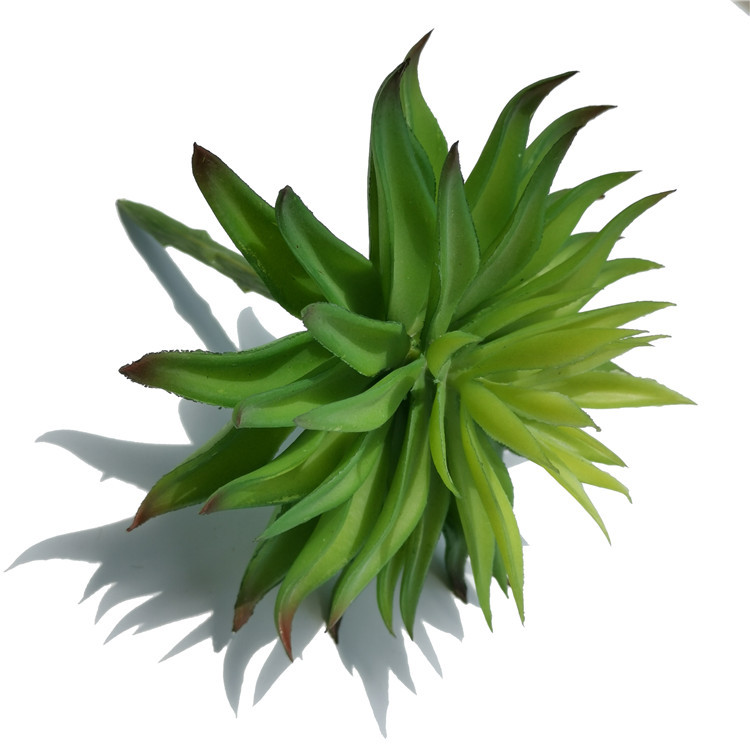 Cành sen  đá decor Trang trí nhà cửa, chậu cây  -   Sen đá 55