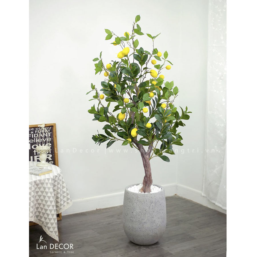 CÂY CHANH MỸ TRANG TRÍ PHONG CÁCH HIỆN ĐẠI (160CM) - CC152