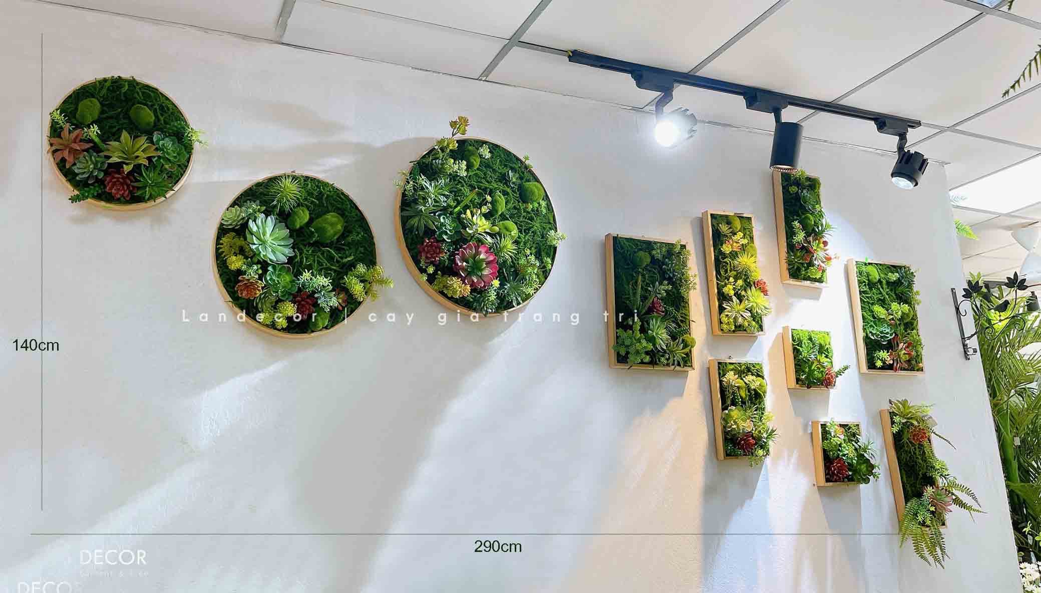 BỘ TRANH RÊU SEN ĐÁ TREO TƯỜNG DECOR ĐỘC ĐÁO, SANG TRỌNG