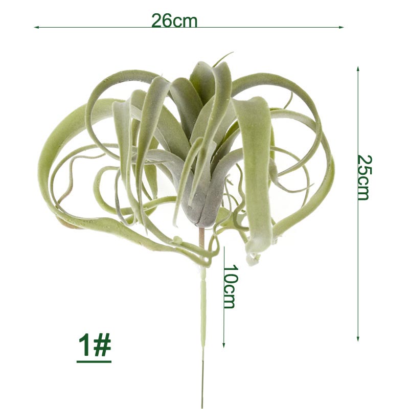 Cành sen  đá decor Trang trí nhà cửa, chậu cây     -   Sen đá 145