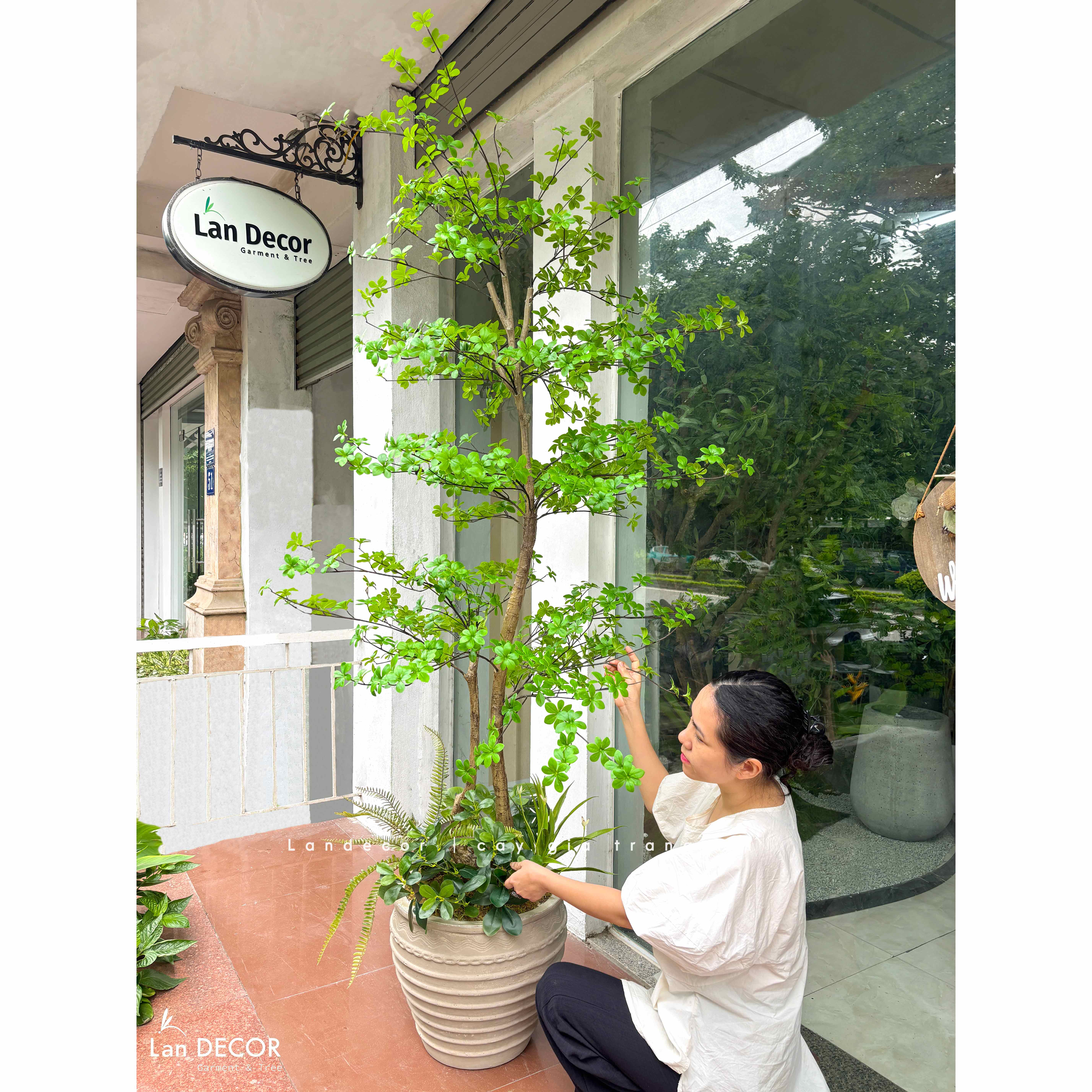 Cây Giả- Cây Thạch Nam Giả Thiết Kế Dáng Phân Tầng Độc Đáo, Decor Không Gian Hiện Đại (230cm)- CC1361