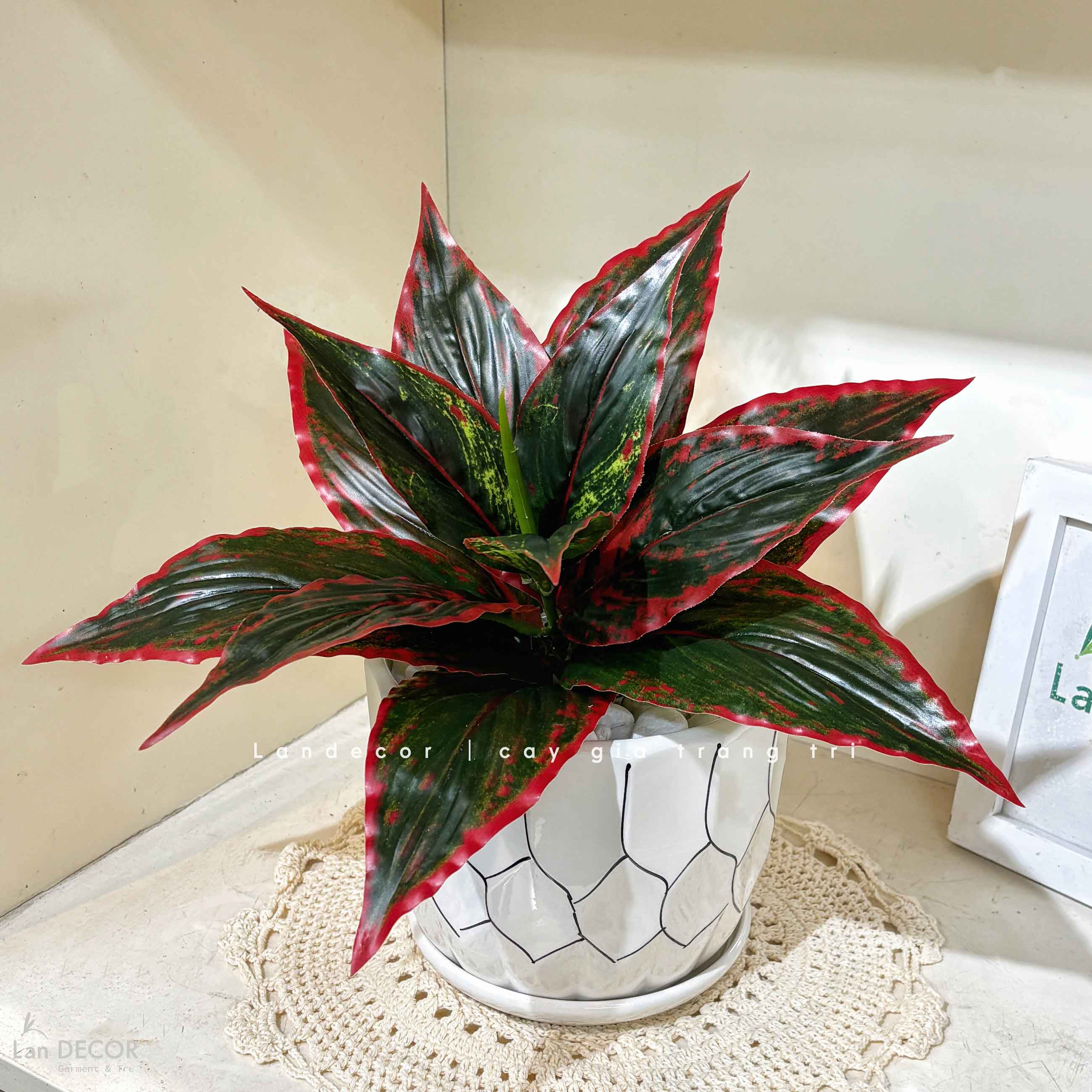 Cây Giả Decor- Cây Lá Lan Giả Để Bàn Trang Trí (40cm)- CC1471