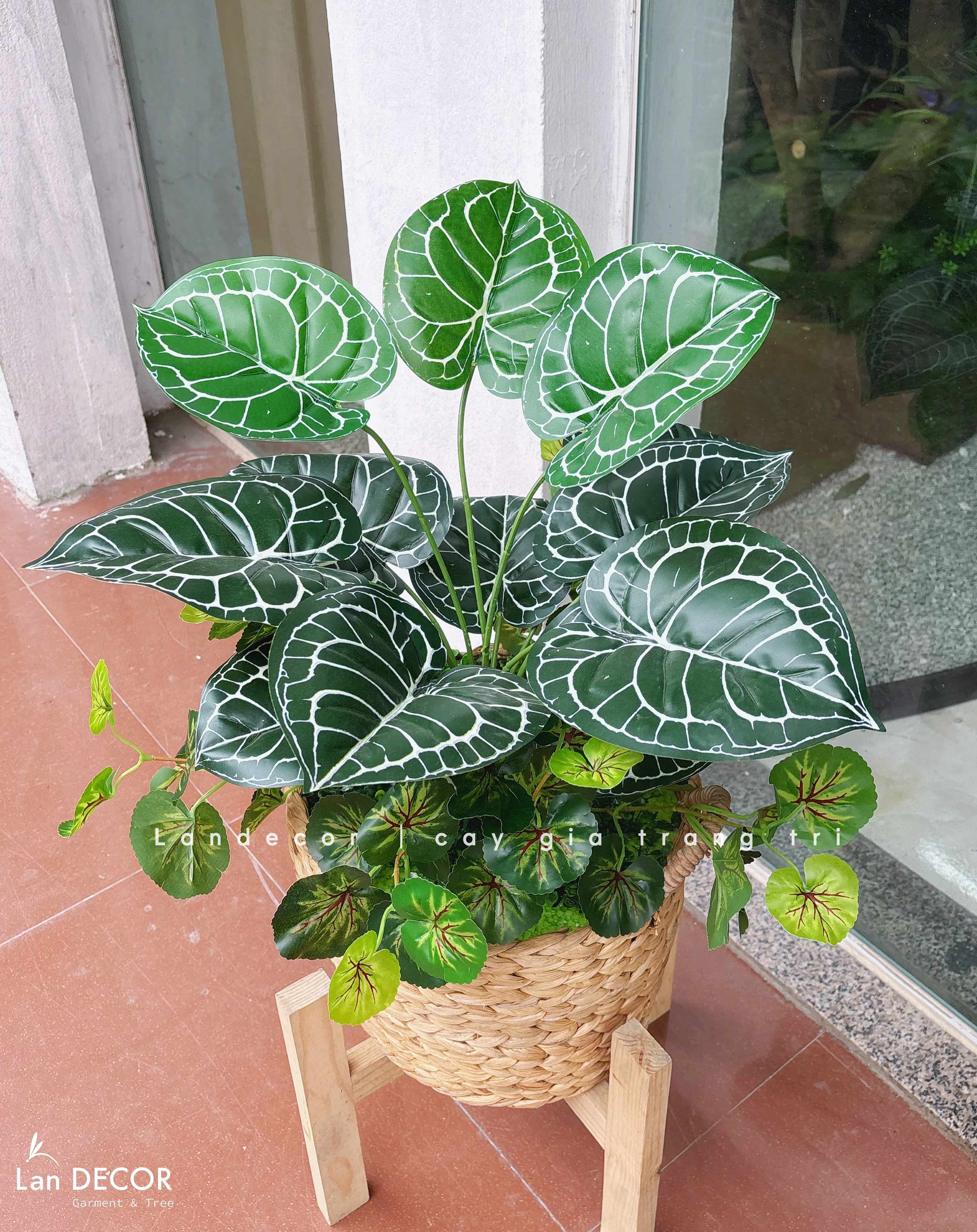 Giỏ Cây Trang Trí - Giỏ Cây Lá Môn Giả Thiết Kế Không Gian Xanh Tự Nhiên (60cm)- CC1353