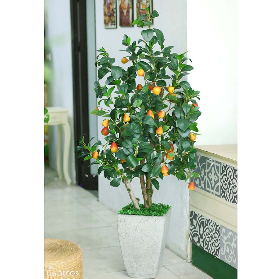 Cây lê má đào trang trí nhà đẹp Landecor (160cm) - CC551