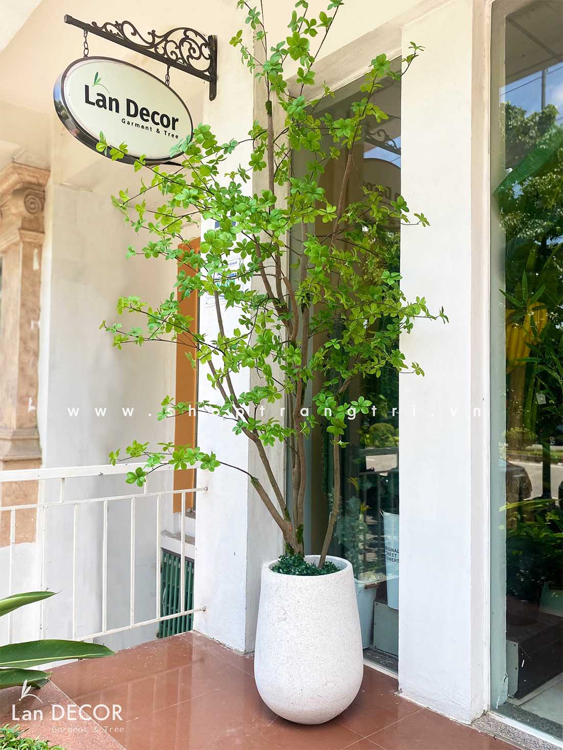 CÂY THẠCH NAM NHẬT BẢN LANDECOR (2M5) - CC645