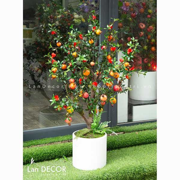 Chậu cây lựu hoa đỏ trang trí nội thất Lan Decor (1.2 m) - CC046