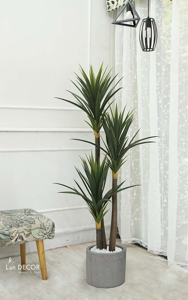 Cây phát tài núi Lan decor - cây giả trang trí 1,5m - LC3005