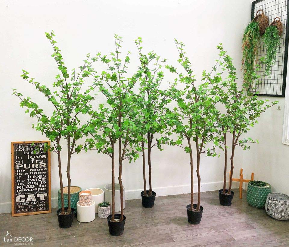 CHẬU CÂY THẠCH NAM NHẬT BẢN MIX TRANG TRÍ NỘI THẤT (180cm) - CC246-1 Mix