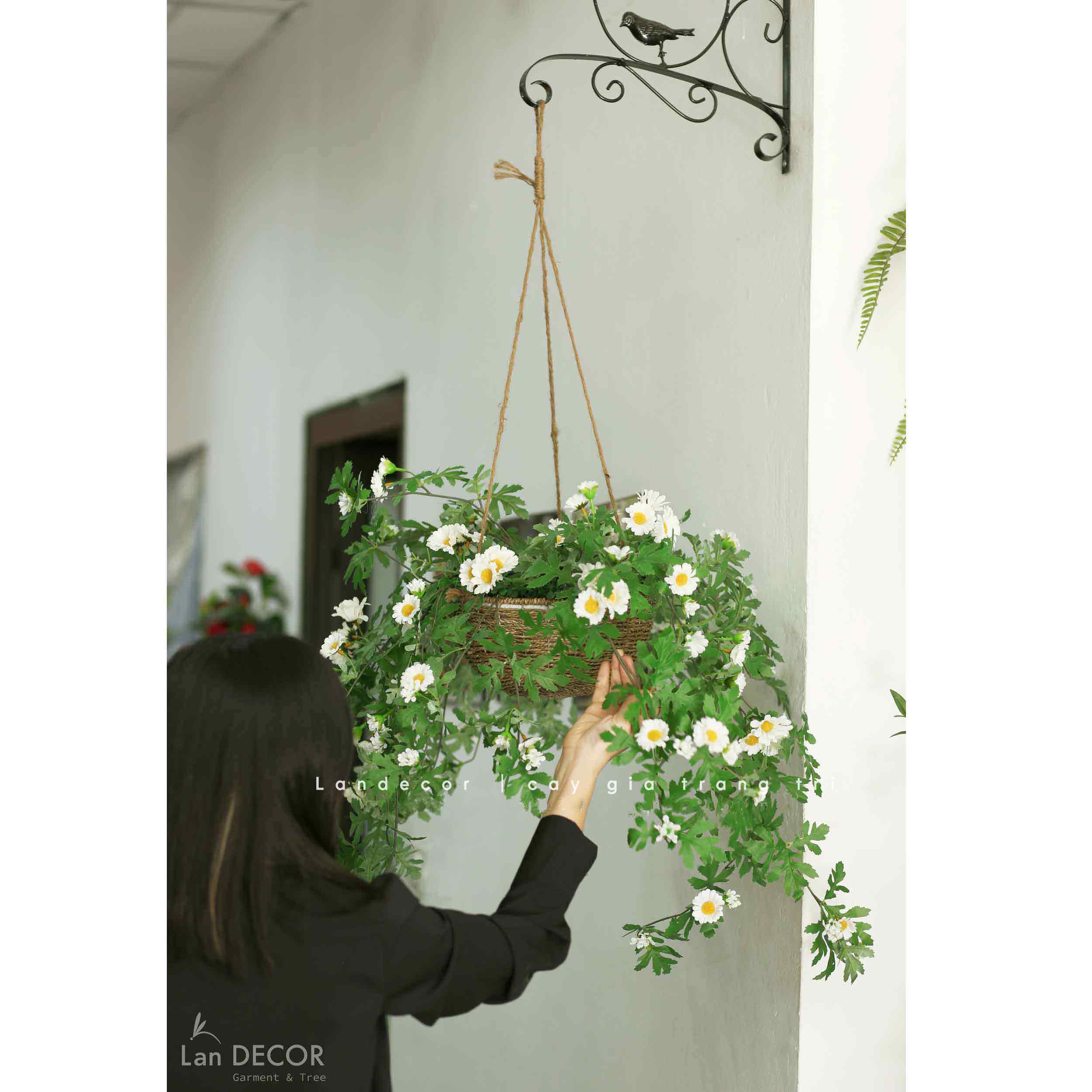 TỔNG HỢP GIỎ HOA DÃ QUỲ TRANG TRÍ NỘI THẤT, PHÒNG KHÁCH, CỬA HÀNG ĐẸP