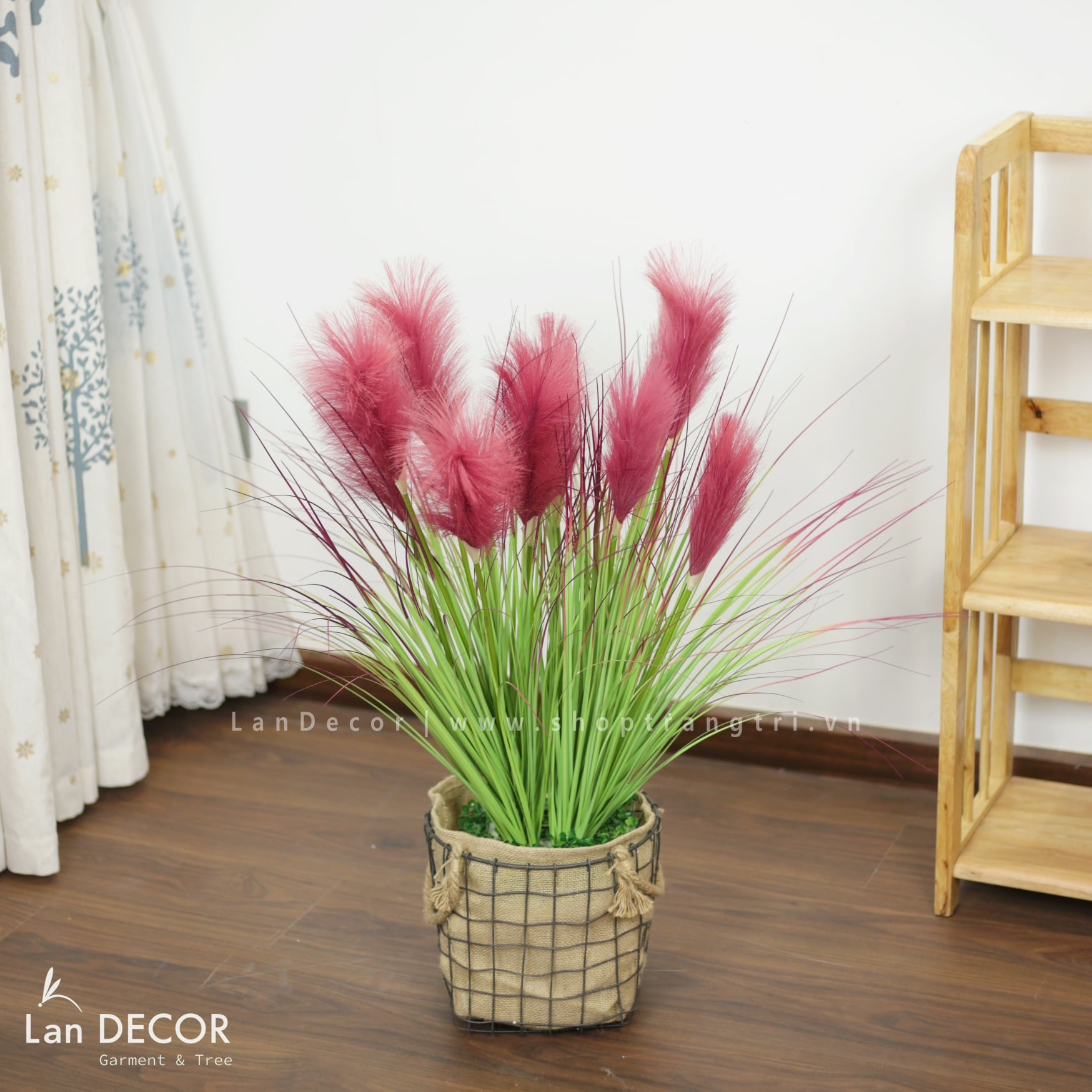 TRANG TRÍ PHÒNG KHÁCH ĐẸP VỚI BỒN CỎ LAU SẬY HỒNG TÍM - BC058