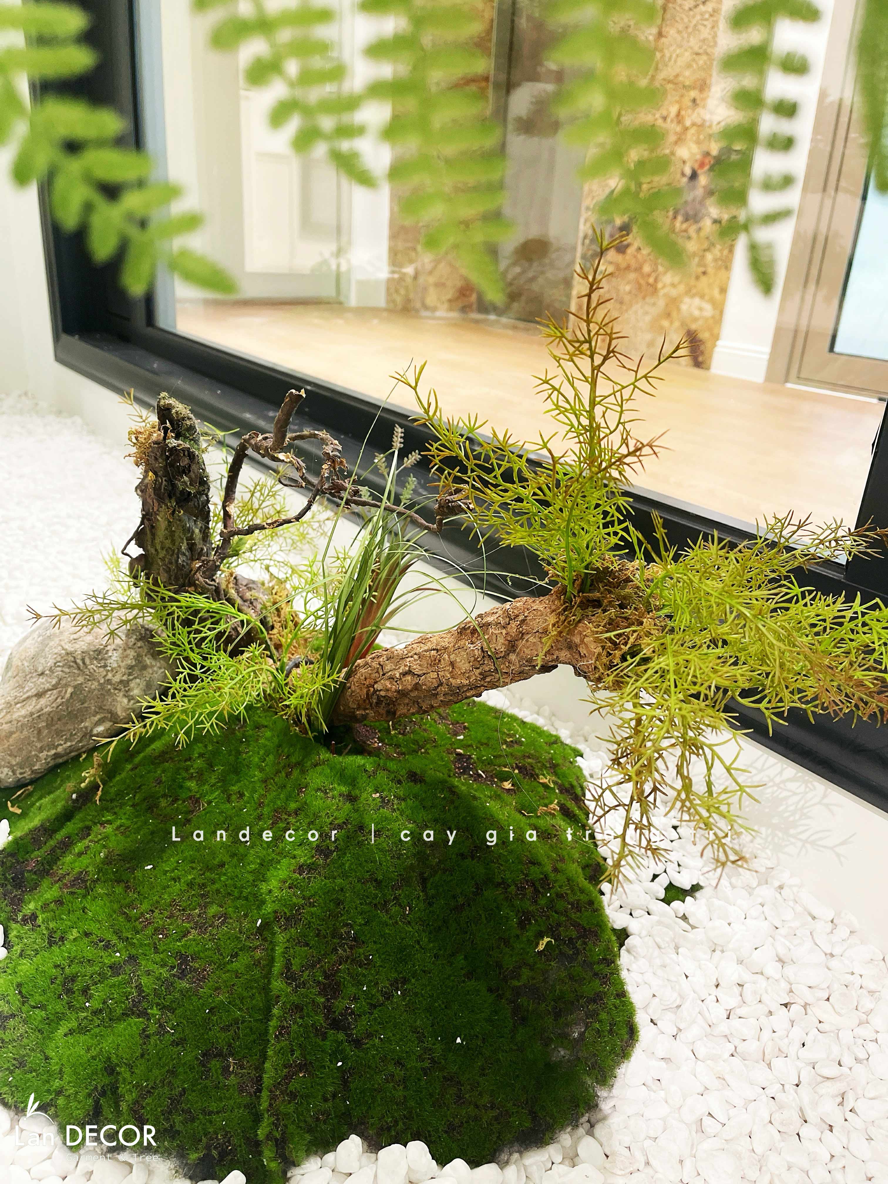 Thi Công Tiểu Cảnh - Thiết Kế Tiểu Cảnh Tùng Bonsai Giả, Nâng Tầm Không Gian Sống