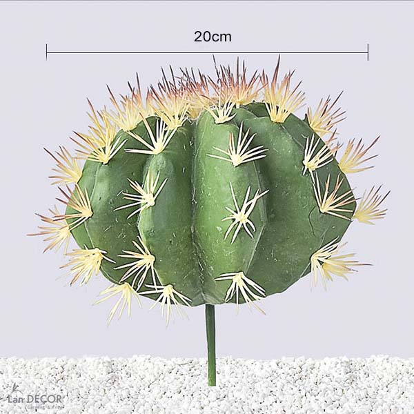 Xương Rồng Kim Hổ Giả Trang Trí Tiểu Cảnh (D=20CM) - HC1038