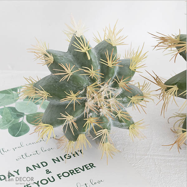 Xương Rồng Kim Hổ Giả Trang Trí Tiểu Cảnh (D=20CM) - HC1038