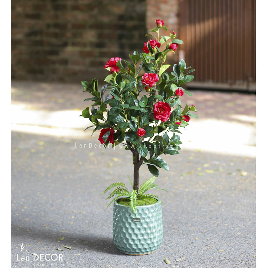 Chậu cây hoa trà đỏ trang trí đẹp, hiện đại Lan Decor (130cm) - CC323