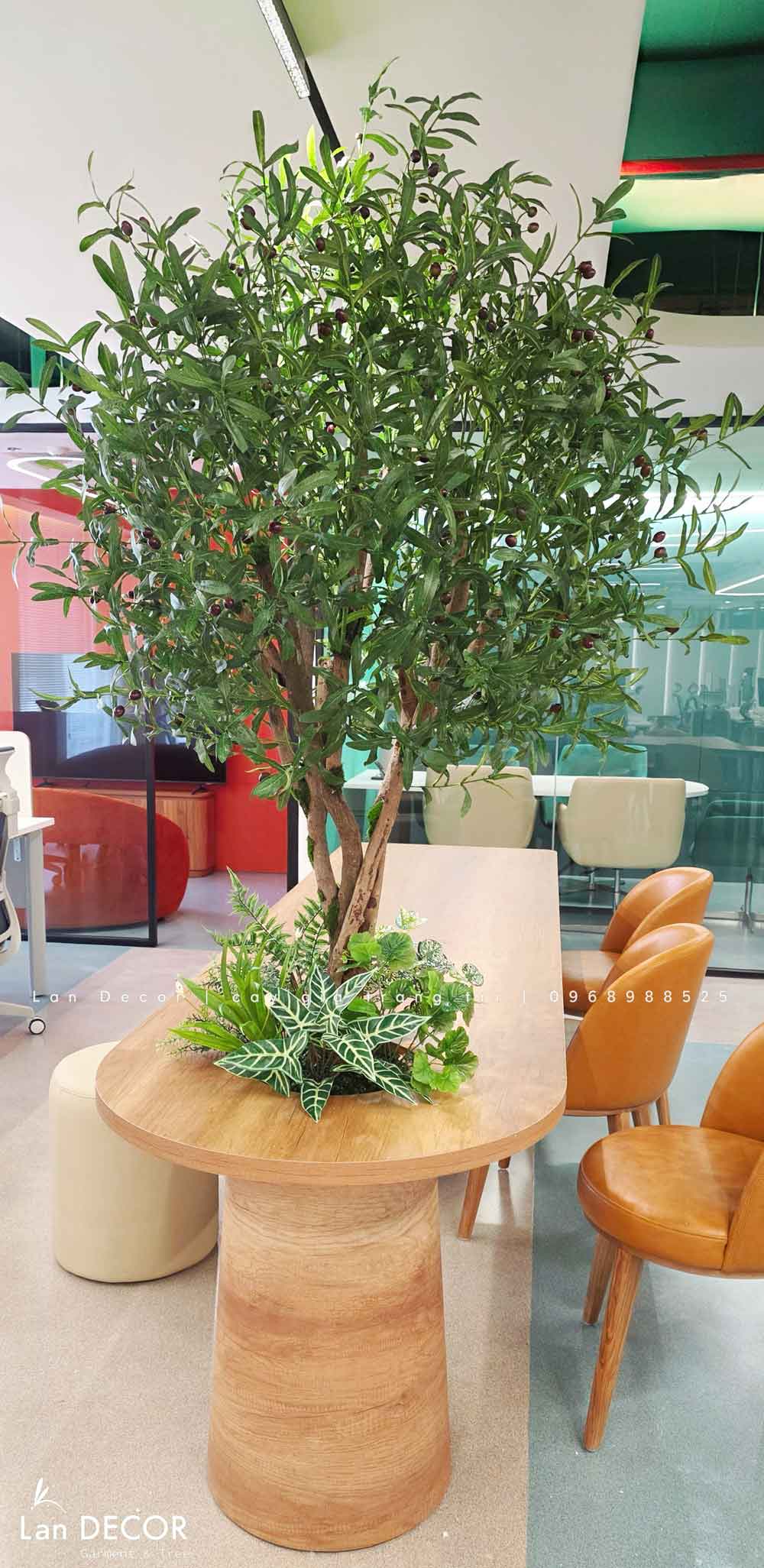 Cây Giả Decor- Cây Oliu Giả Thiết Kế Tiểu Cảnh Văn Phòng (200cm)- CC1331