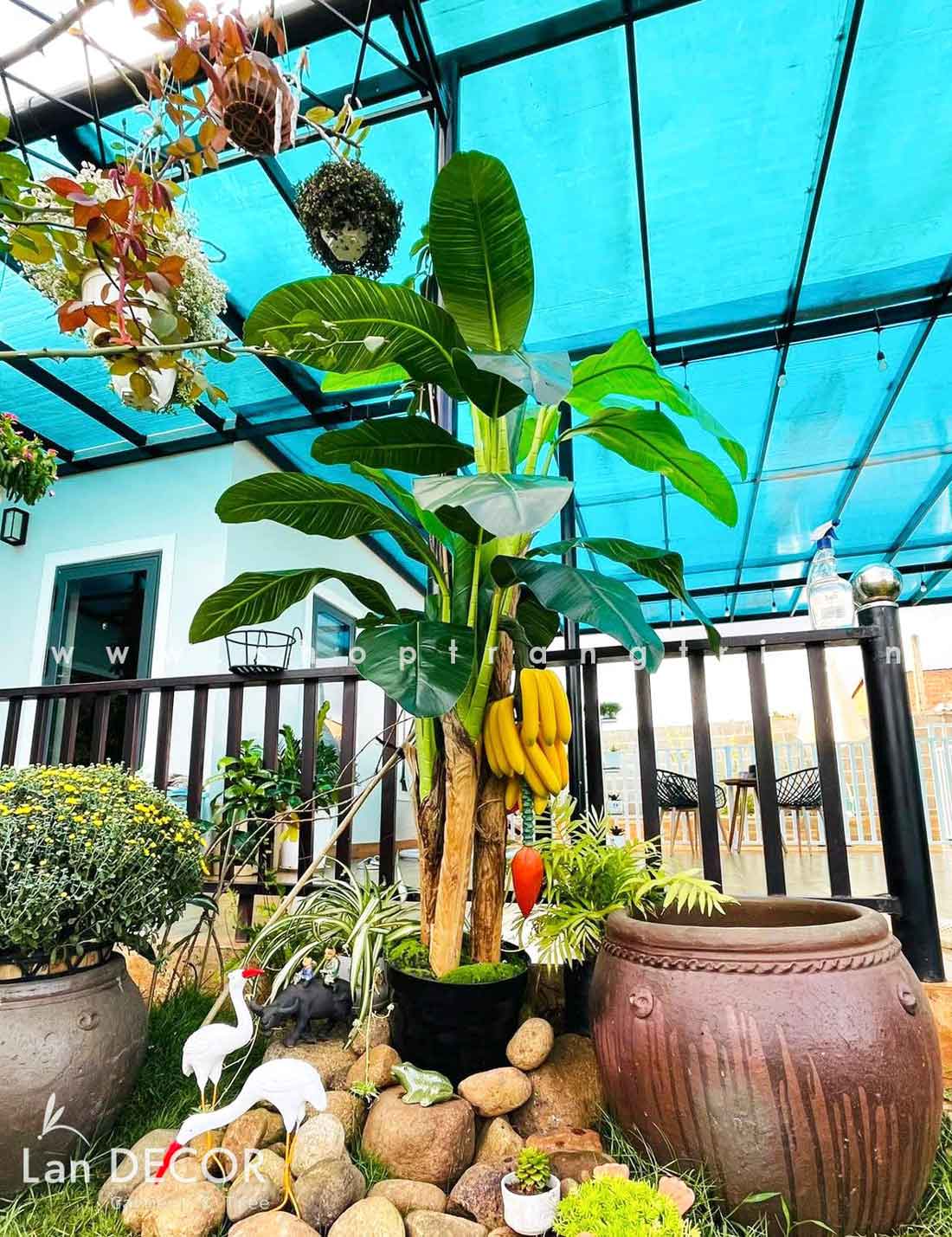 CÂY CHUỐI CẢNH (230cm) - LC1598