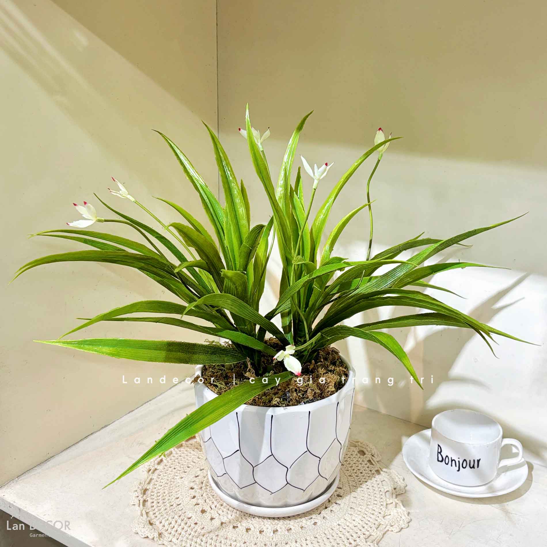 Cây Giả Để Bàn - Chậu Lan Trắng Để Bàn Thiết Kế Lan Decor (45cm) - CC1479