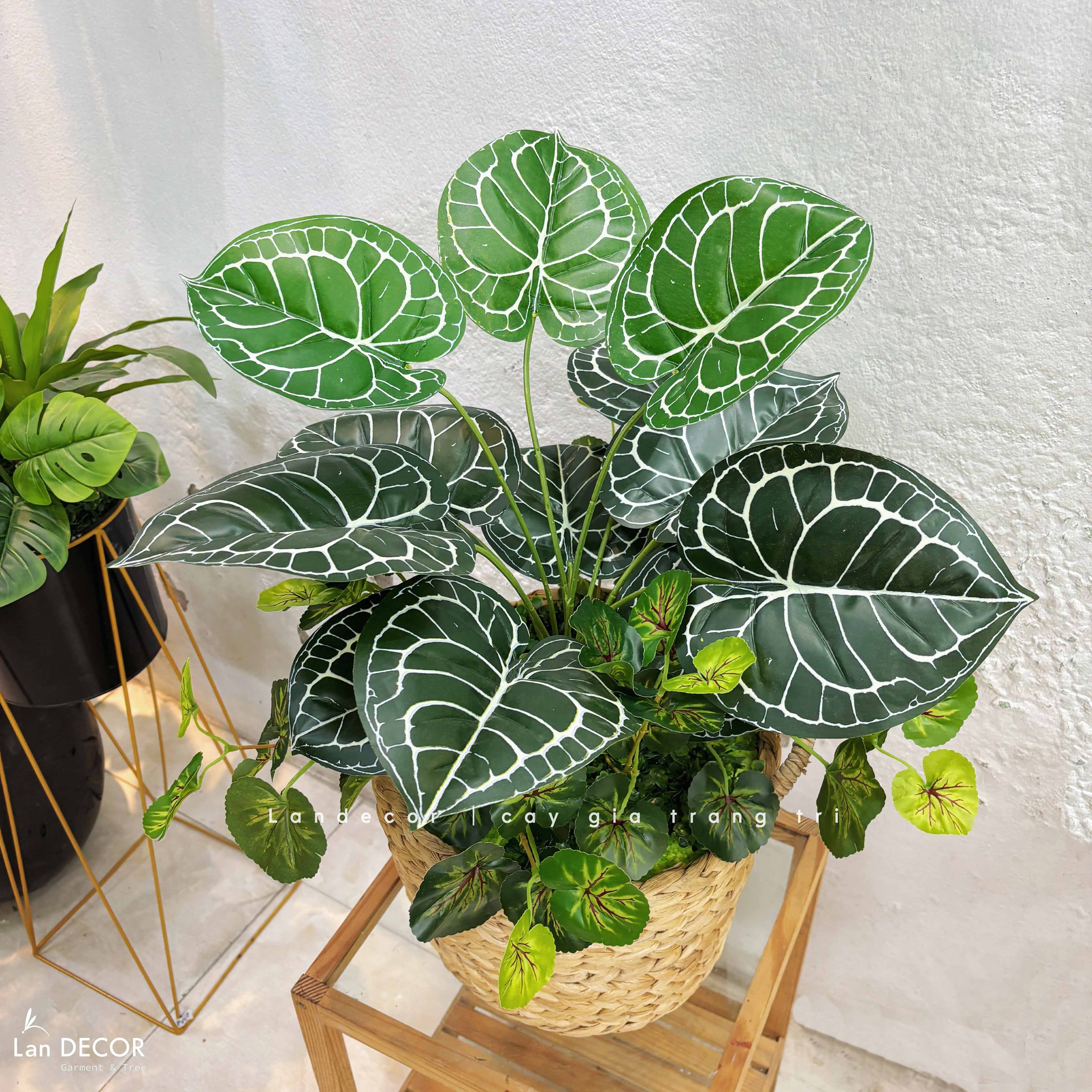 Giỏ Cây Trang Trí - Giỏ Cây Lá Môn Giả Thiết Kế Không Gian Xanh Tự Nhiên (60cm)- CC1353