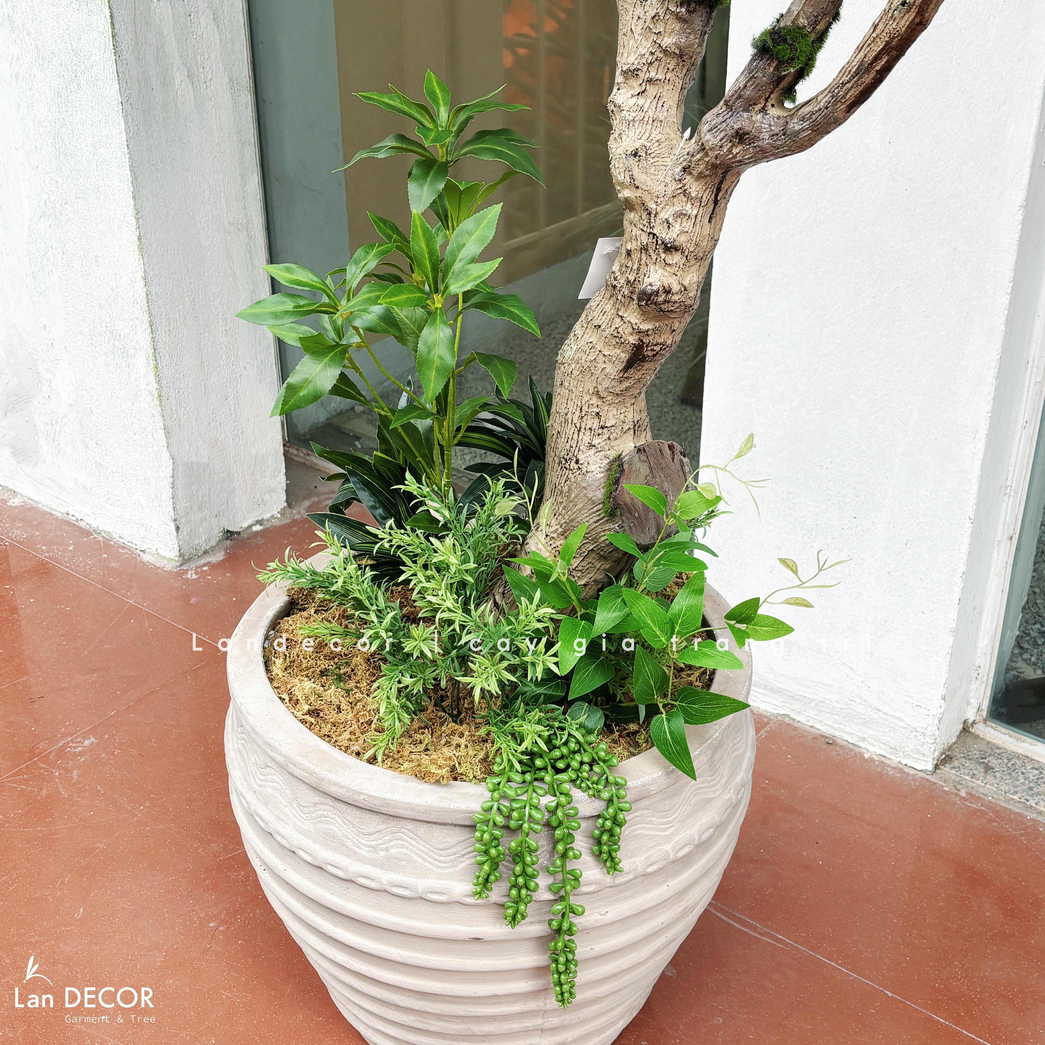 Cây Giả Thiết Kế- Cây Linh Sơn Tiểu Cảnh Thiết Kế Không Gian Đẹp (220cm)- CC1355