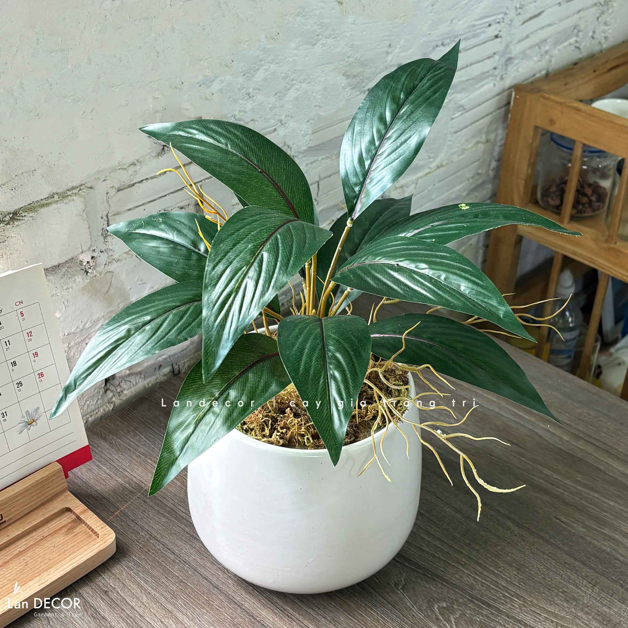 Cây Giả Trang Trí- Chậu Cây Vạn Lộc Giả Để Bàn Trang Trí Không Gian Tạo Điểm Nhấn (45cm) - CC1456