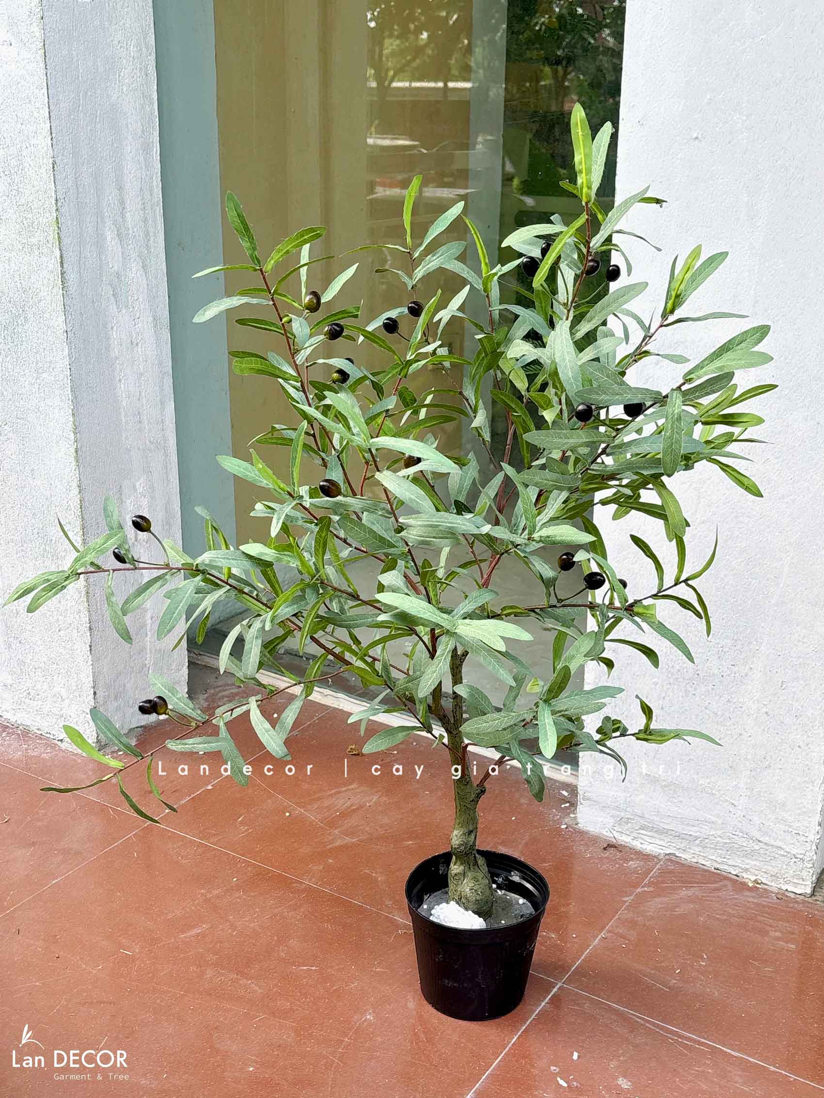 Cây Giả Trang Trí- Cây Olive Giả Trang Trí Tiểu Cảnh Nhỏ Xinh- CC1440