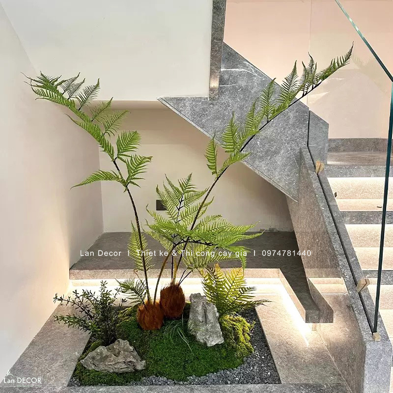 Thiết Kế Tiểu Cảnh Dương Xỉ Culi Decor Góc Cầu Thang Căn Hộ